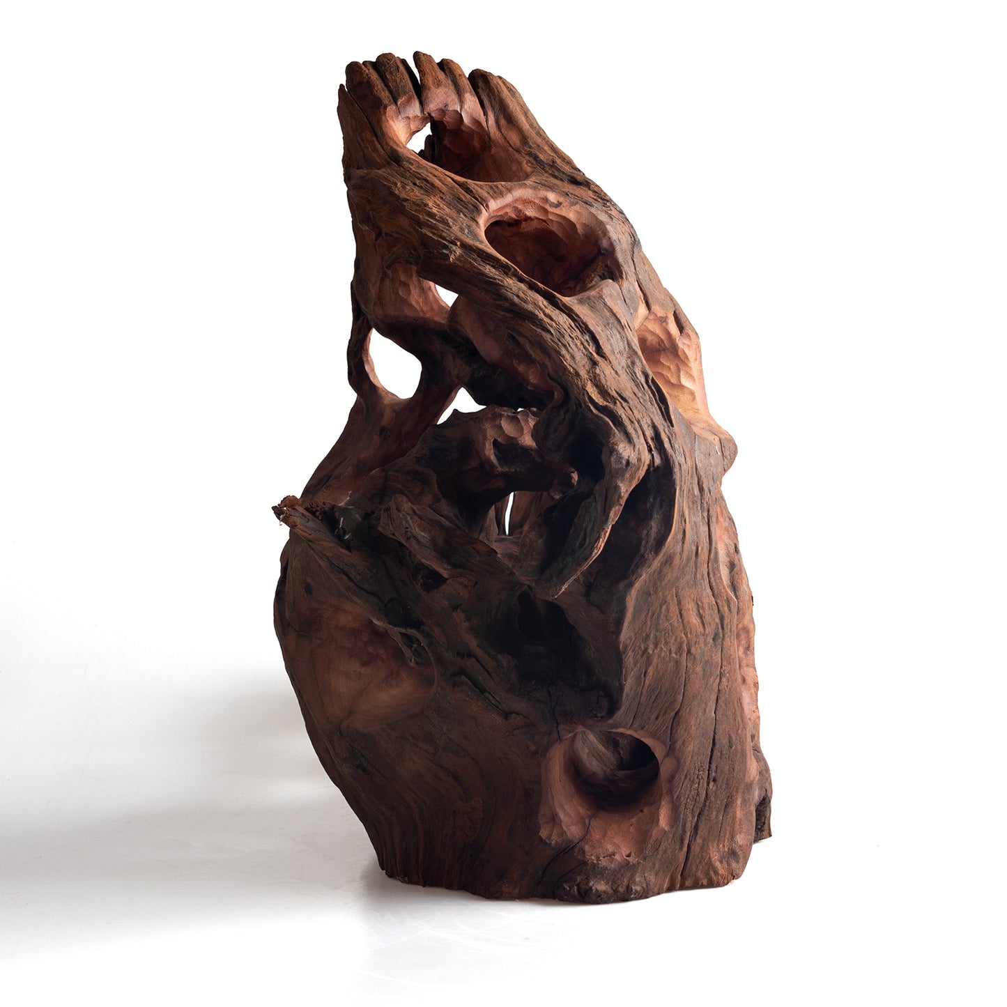 WYSIWYG Premium Natural Driftwood for Aquascaping – Exact Piece Shown A19