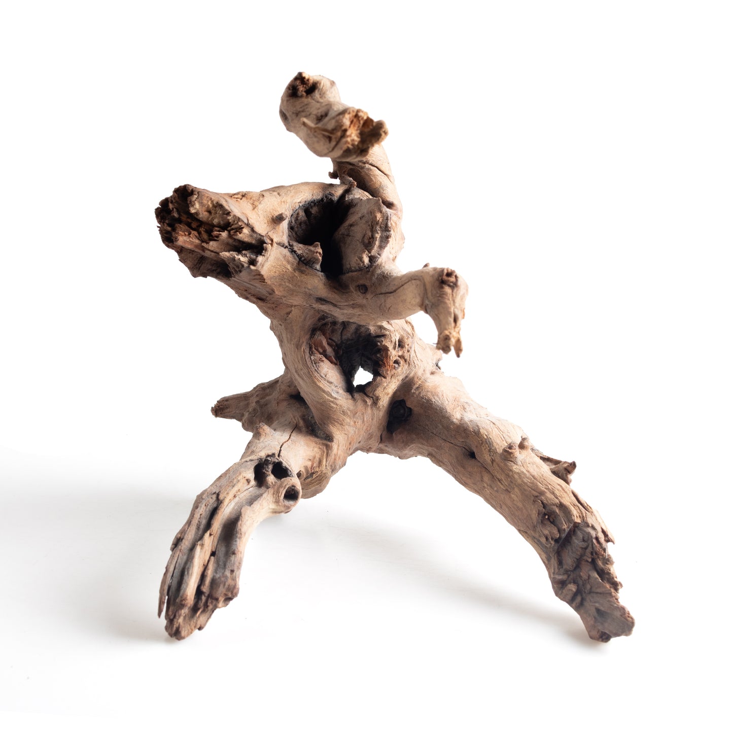 WYSIWYG Premium Natural Driftwood for Aquascaping – Exact Piece Shown A3