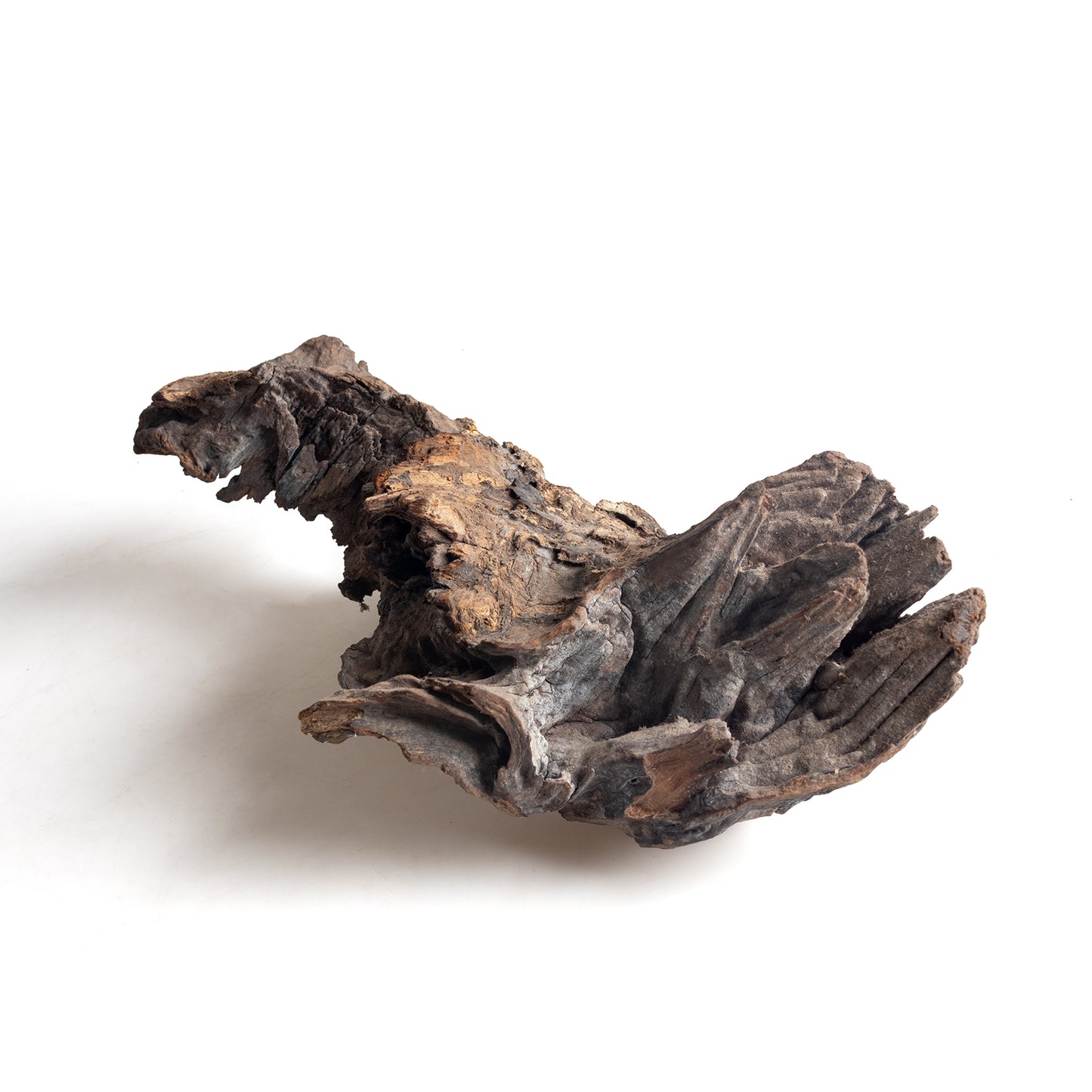 WYSIWYG Premium Natural Driftwood for Aquascaping – Exact Piece Shown A14