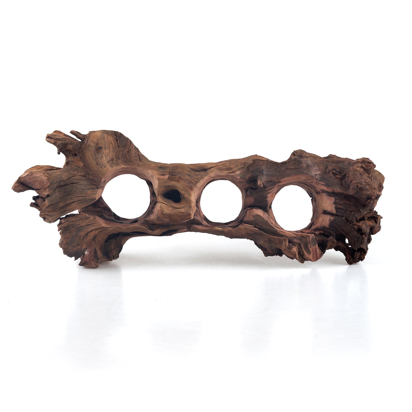 WYSIWYG Premium Natural Driftwood for Aquascaping – Exact Piece Shown A10