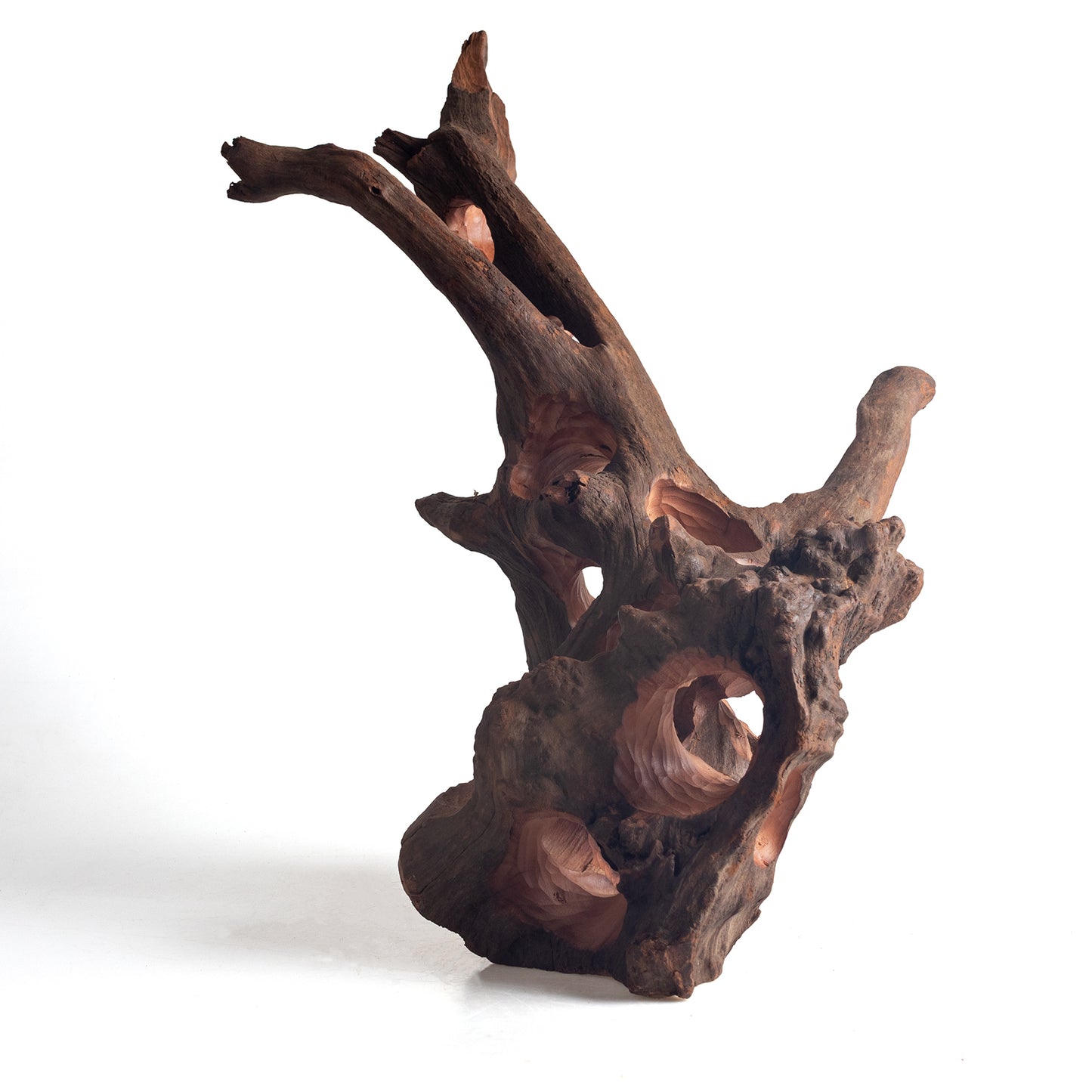 WYSIWYG Premium Natural Driftwood for Aquascaping – Exact Piece Shown A17