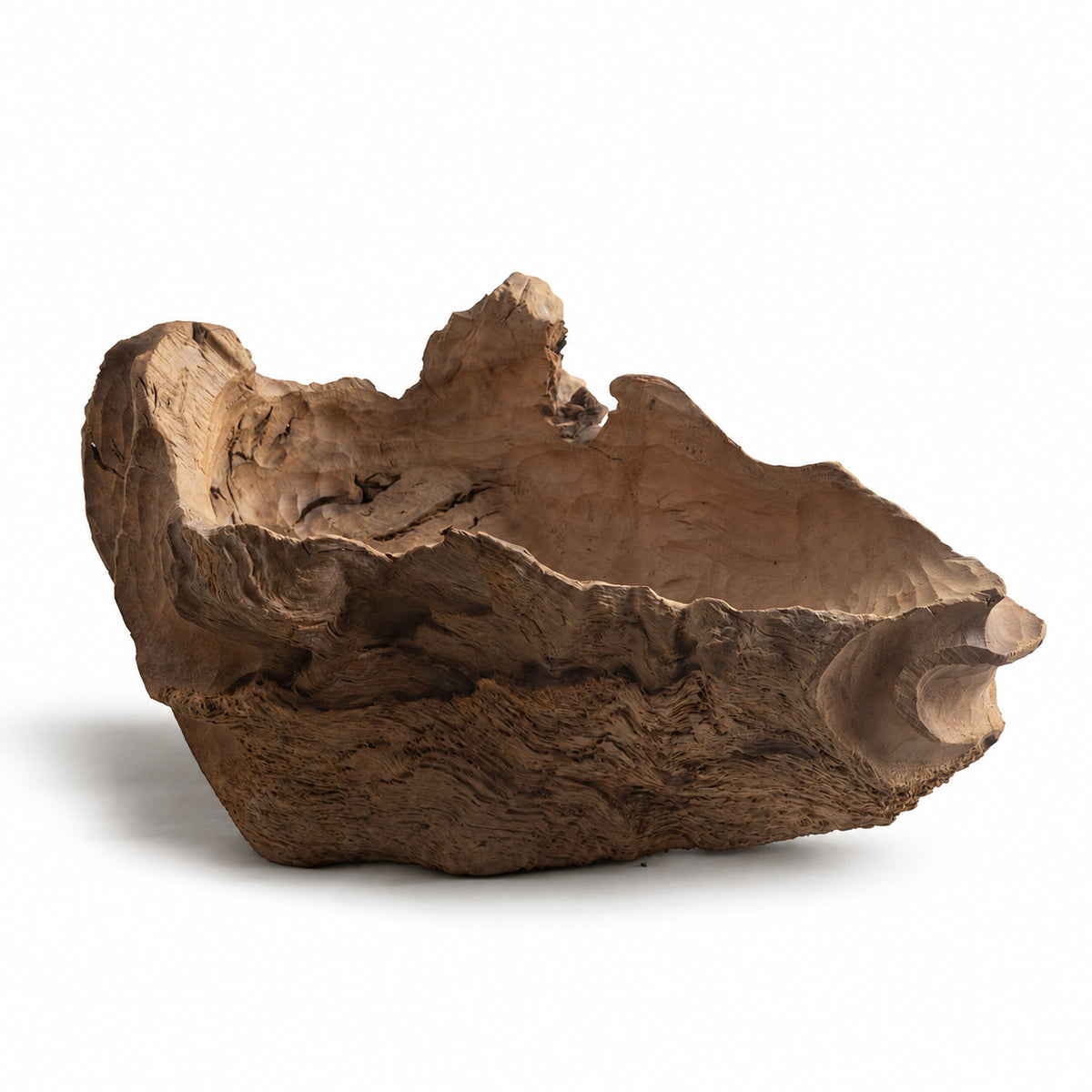 Natural Driftwood Planter – Rustic Wood Root Plant Holder for Succulents, Air Plants & Home Decor