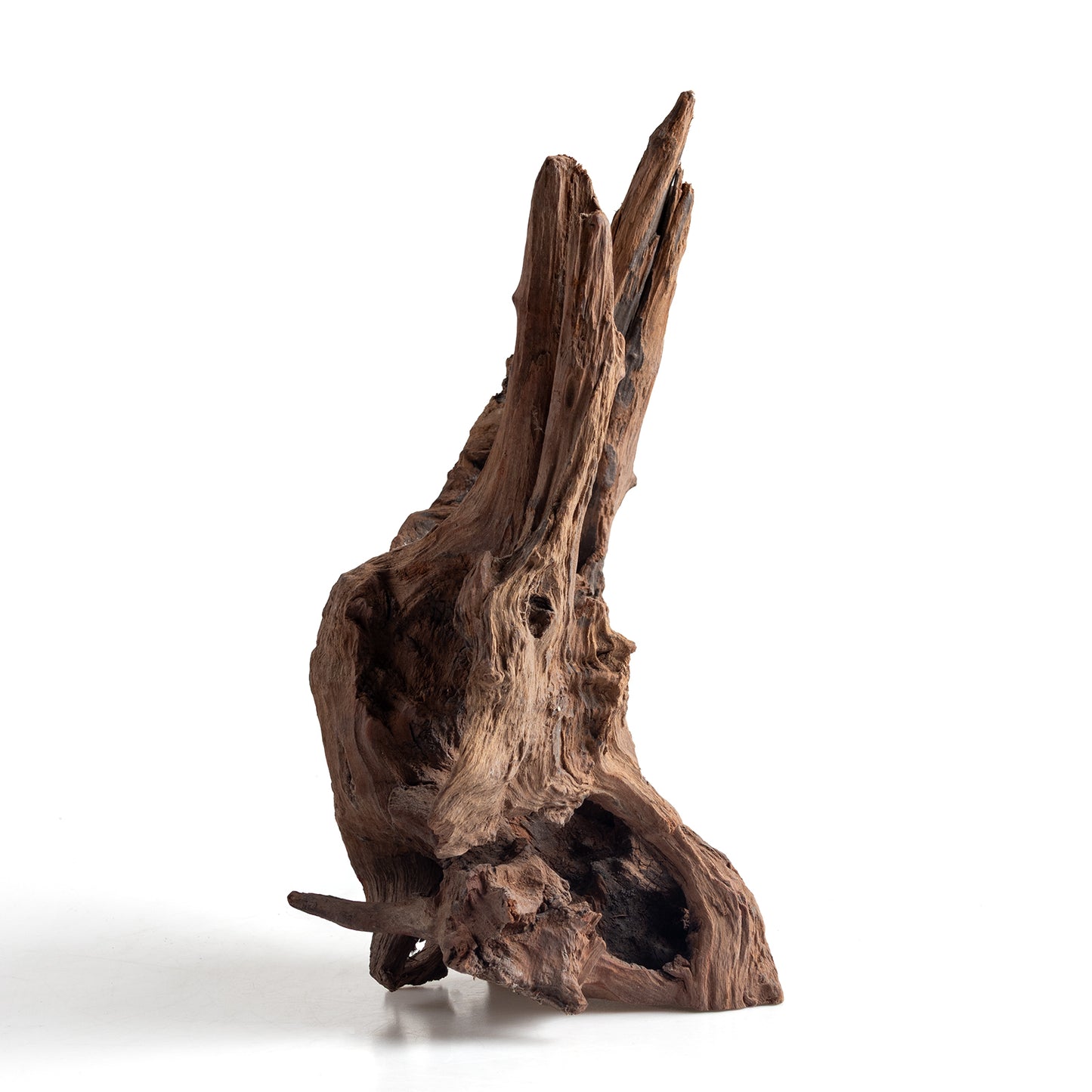 WYSIWYG Premium Natural Driftwood for Aquascaping – Exact Piece Shown A4