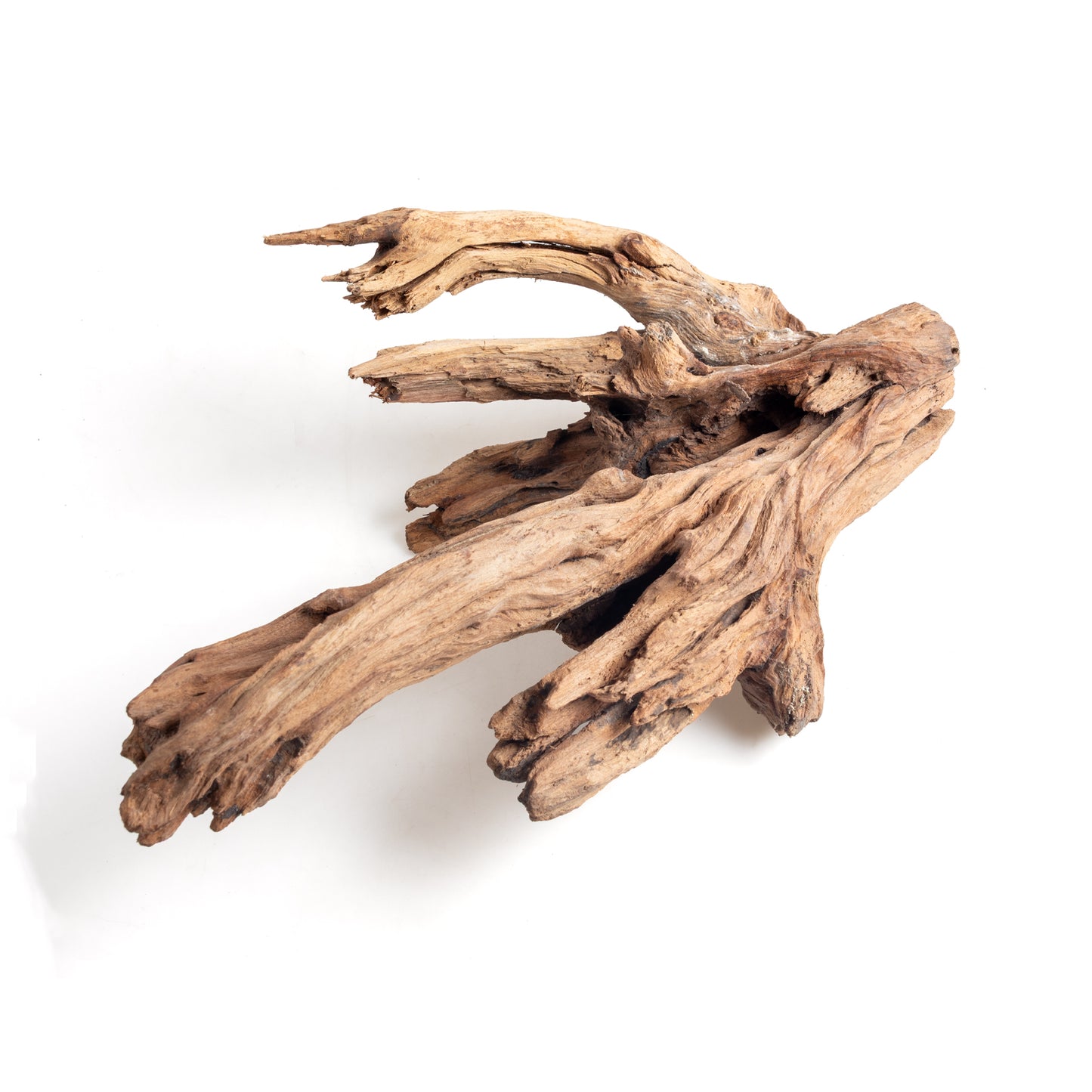 WYSIWYG Premium Natural Driftwood for Aquascaping – Exact Piece Shown A2