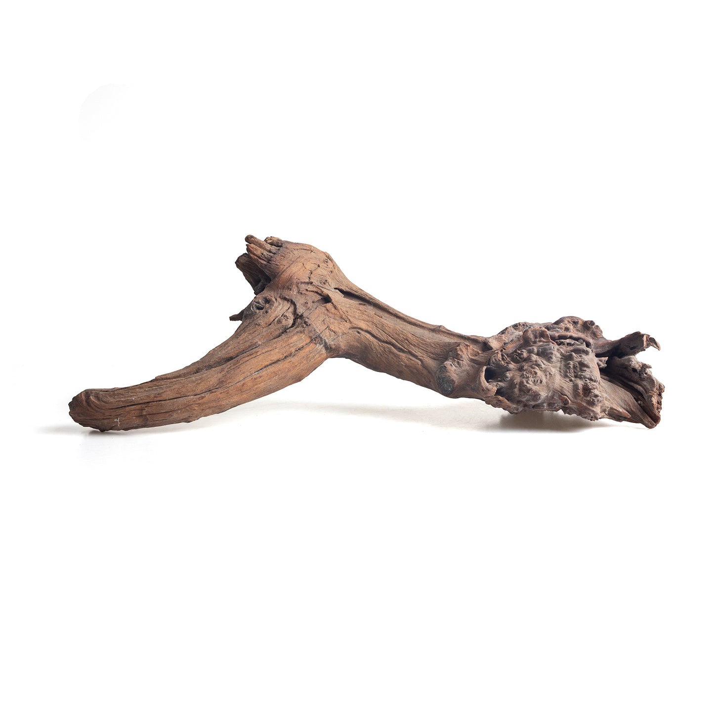 WYSIWYG Premium Natural Driftwood for Aquascaping – Exact Piece Shown A12