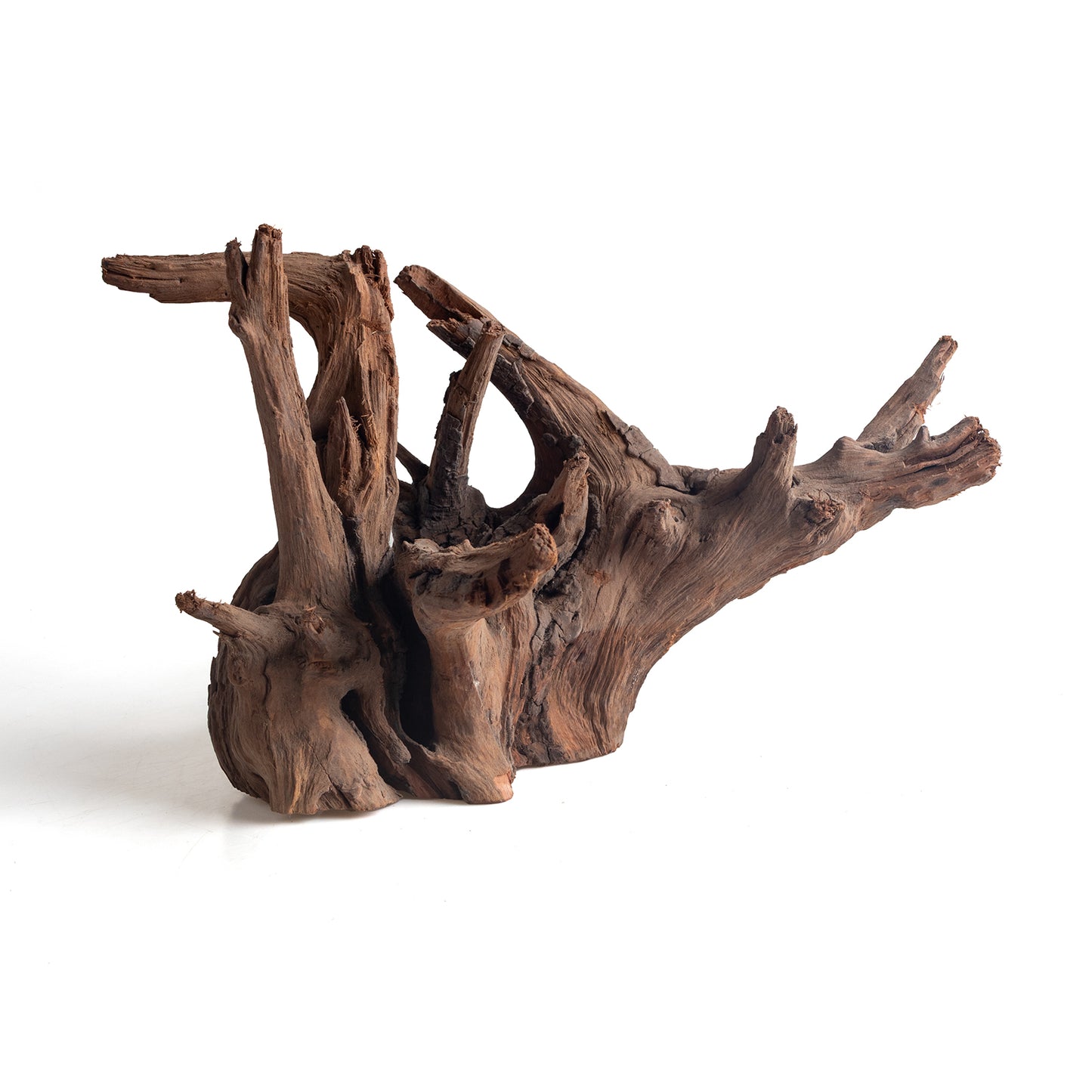 WYSIWYG Premium Natural Driftwood for Aquascaping – Exact Piece Shown A13