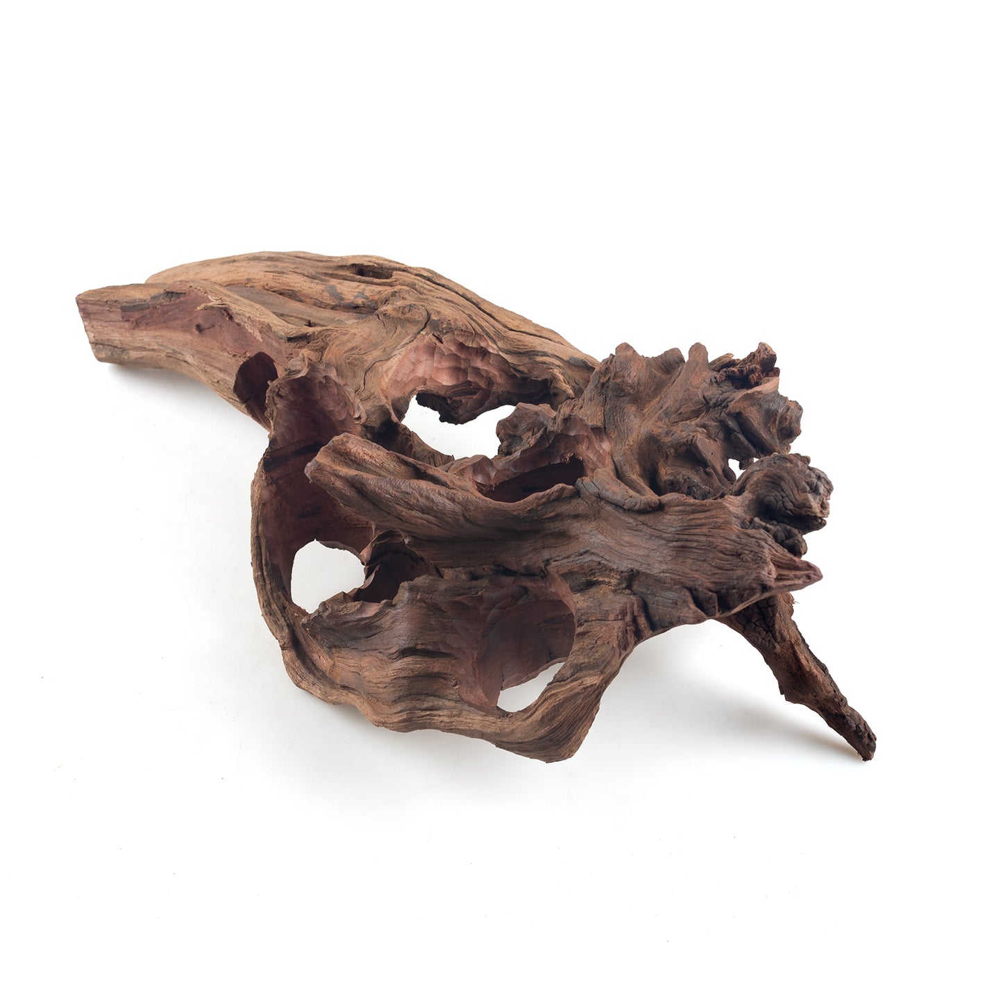 WYSIWYG Premium Natural Driftwood for Aquascaping – Exact Piece Shown A9