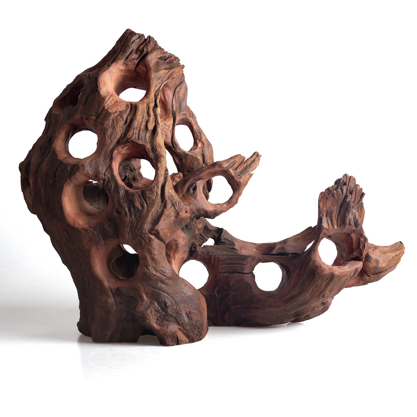 WYSIWYG Premium Natural Driftwood for Aquascaping – Exact Piece Shown A19