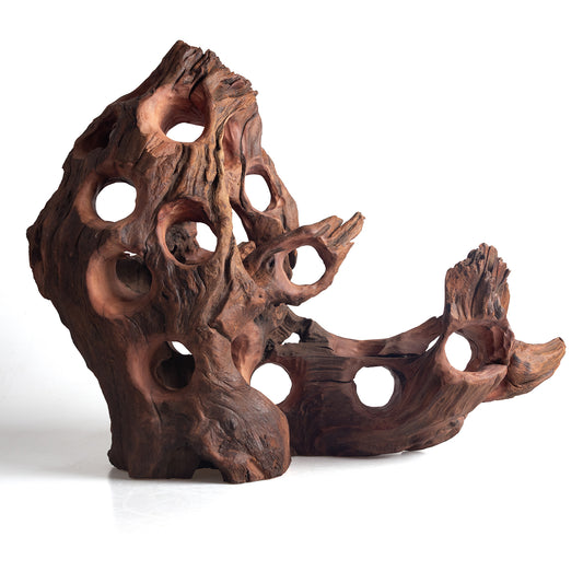WYSIWYG Premium Natural Driftwood for Aquascaping – Exact Piece Shown A19