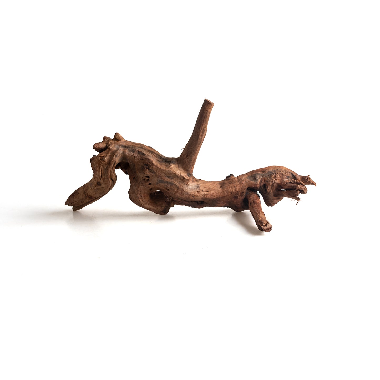 Natural Bell Wood Driftwood for Aquariums & Terrariums – Random Shape, 3 Sizes