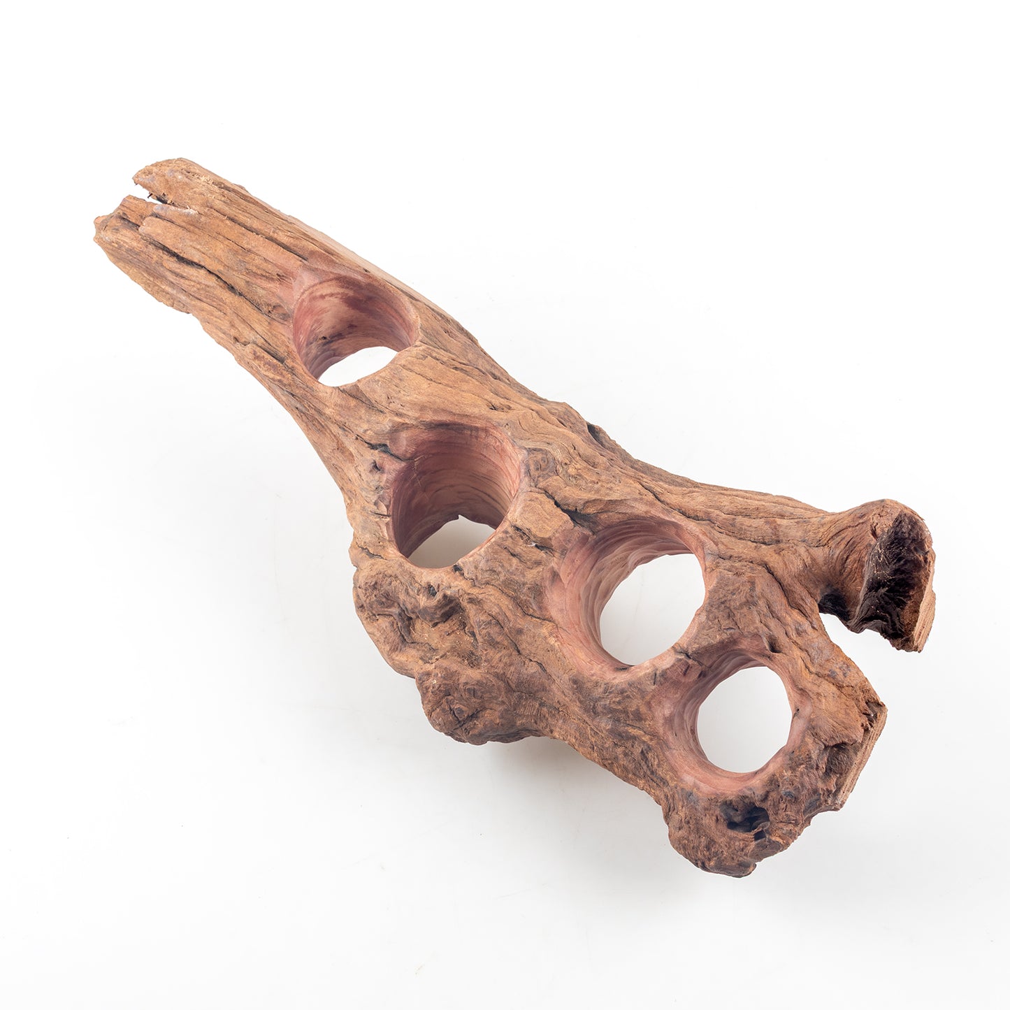 WYSIWYG Premium Natural Driftwood for Aquascaping – Exact Piece Shown A8