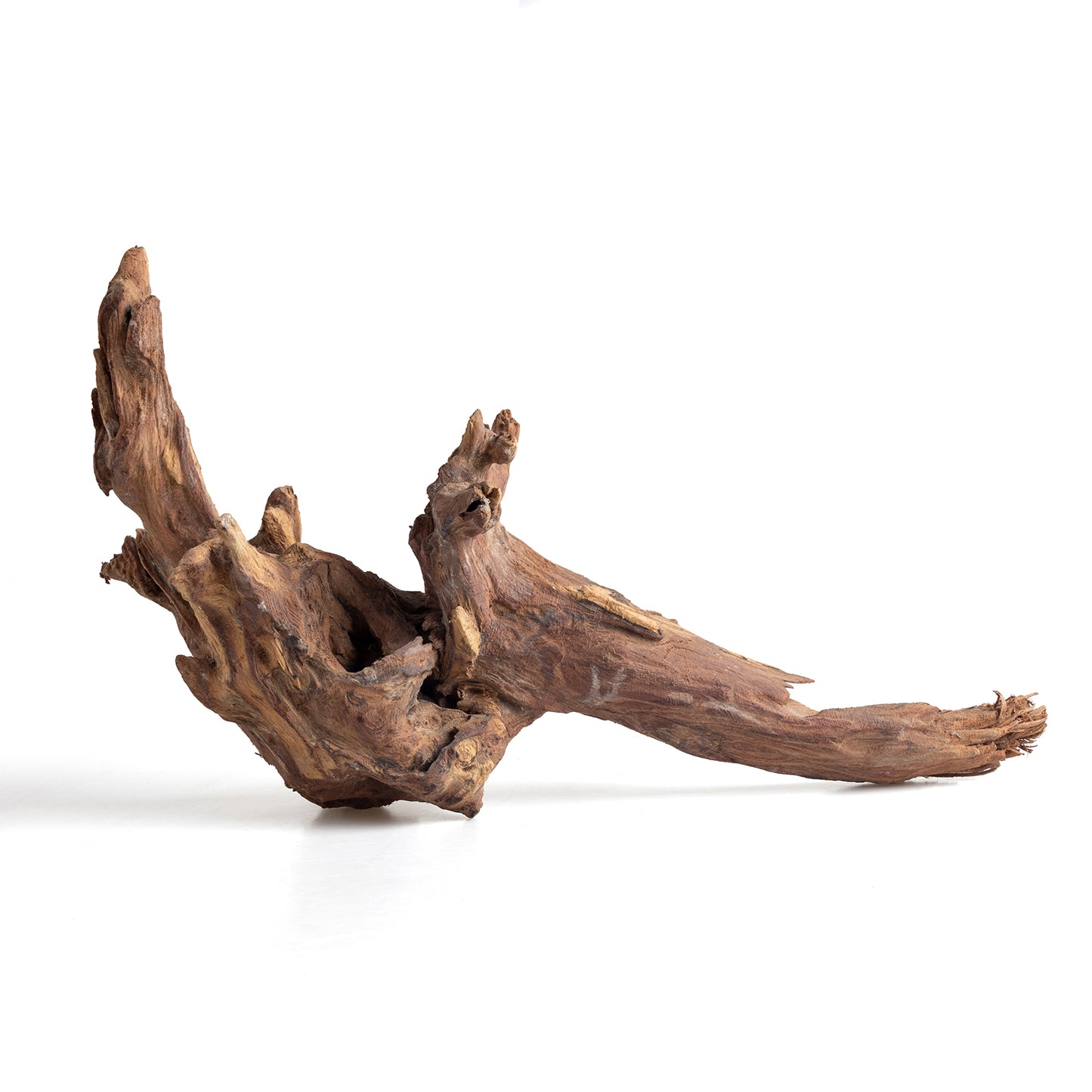 WYSIWYG Premium Natural Driftwood for Aquascaping – Exact Piece Shown A1
