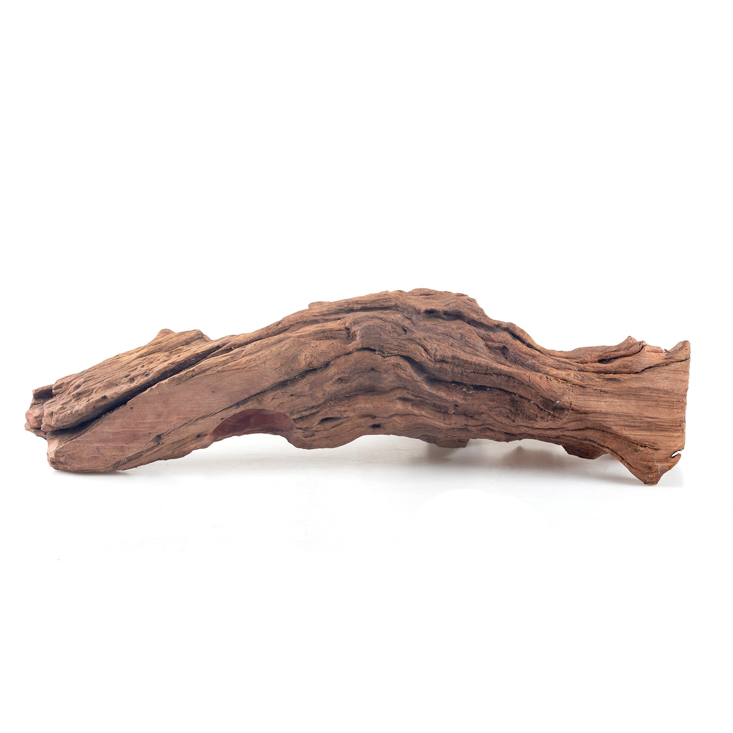 WYSIWYG Premium Natural Driftwood for Aquascaping – Exact Piece Shown A8