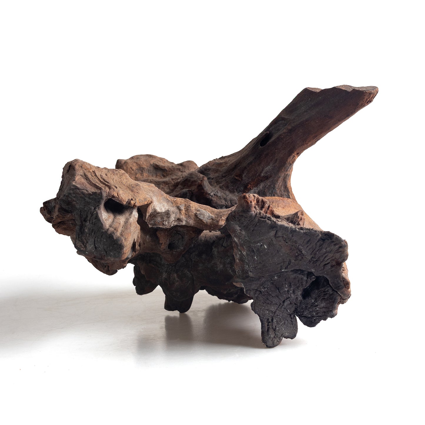 WYSIWYG Premium Natural Driftwood for Aquascaping – Exact Piece Shown A15