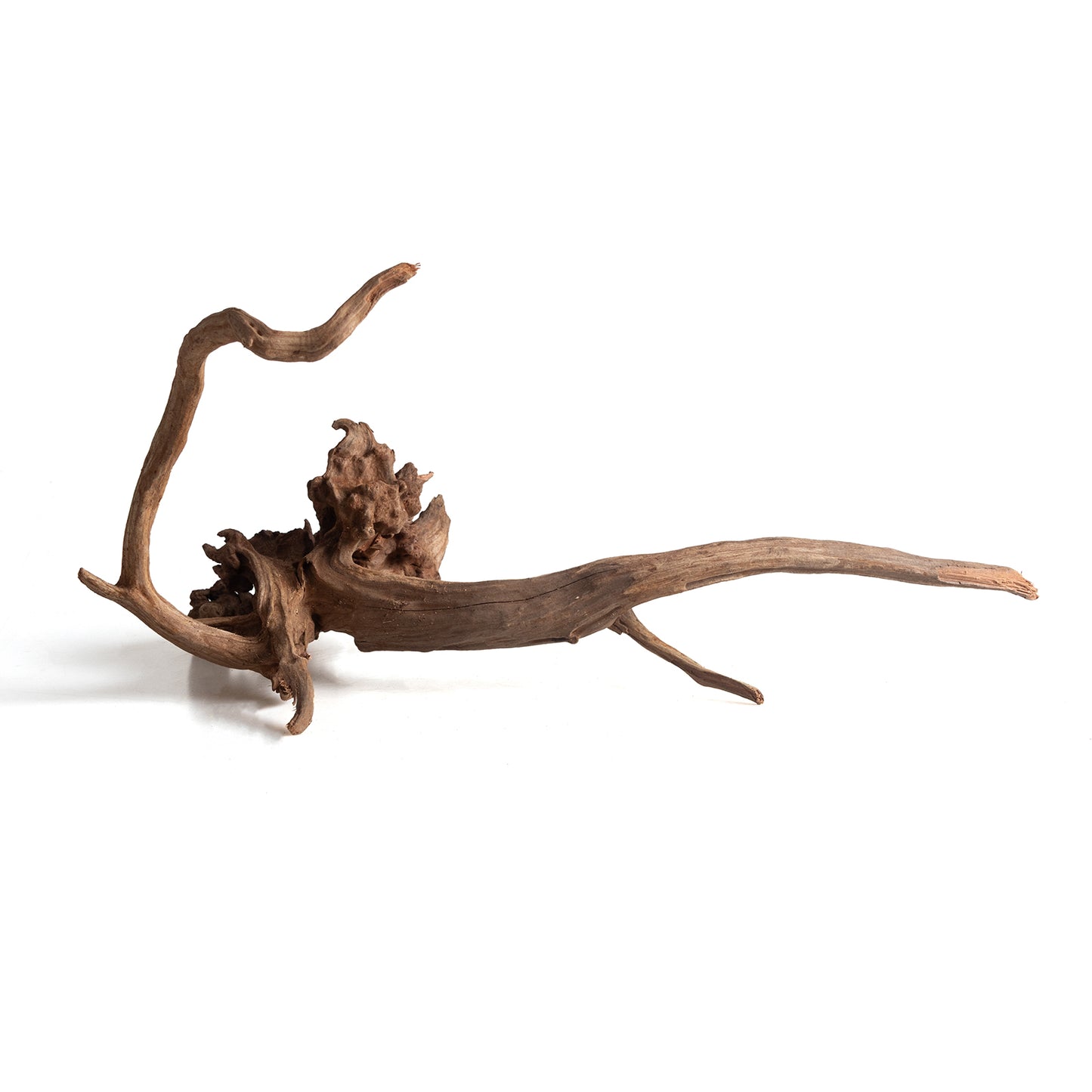 Natural Black Slim Wood Driftwood for Aquariums & Terrariums – Random Shape, 3 Sizes