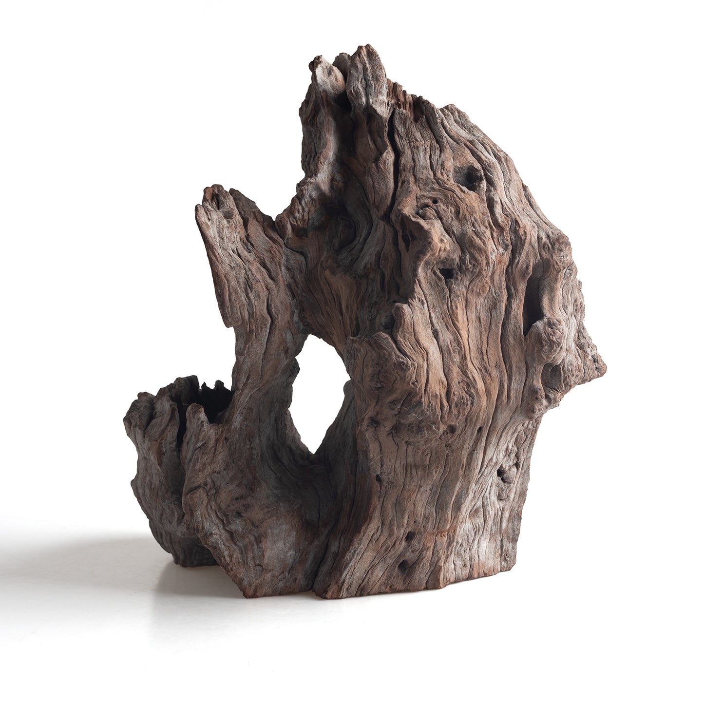 WYSIWYG Premium Natural Driftwood for Aquascaping – Exact Piece Shown A11