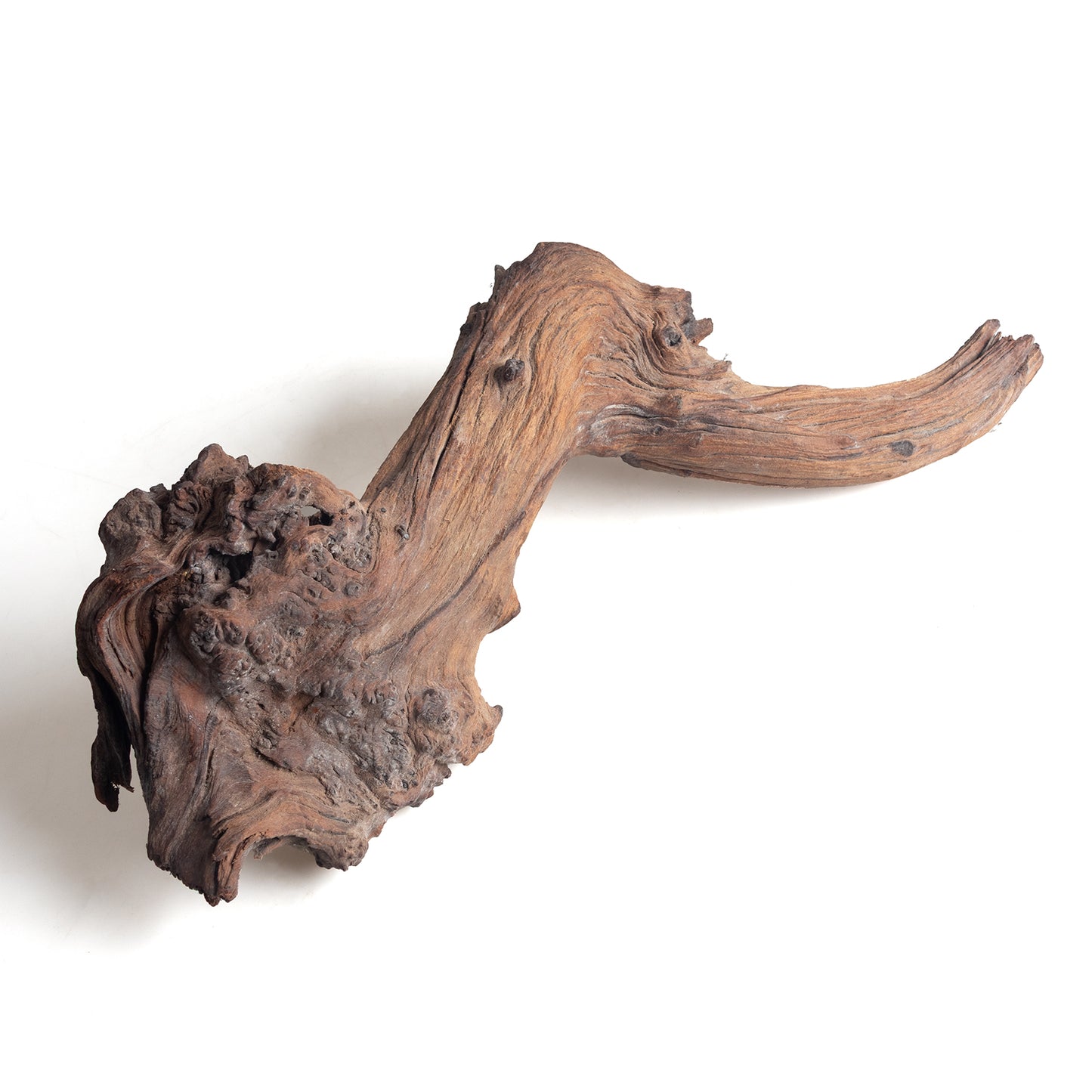 WYSIWYG Premium Natural Driftwood for Aquascaping – Exact Piece Shown A12