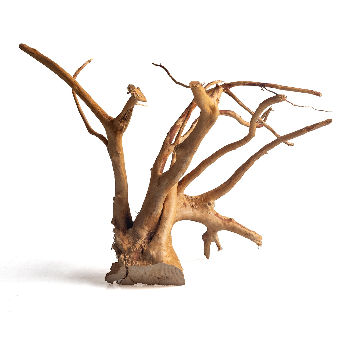 Natural Spider Wood Driftwood for Aquariums & Terrariums – Random Shape, 3 Sizes