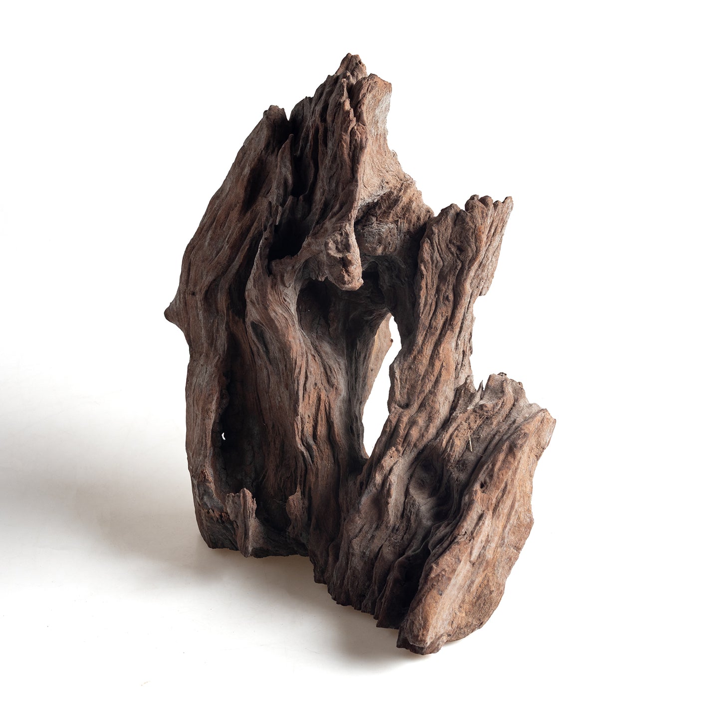 WYSIWYG Premium Natural Driftwood for Aquascaping – Exact Piece Shown A11