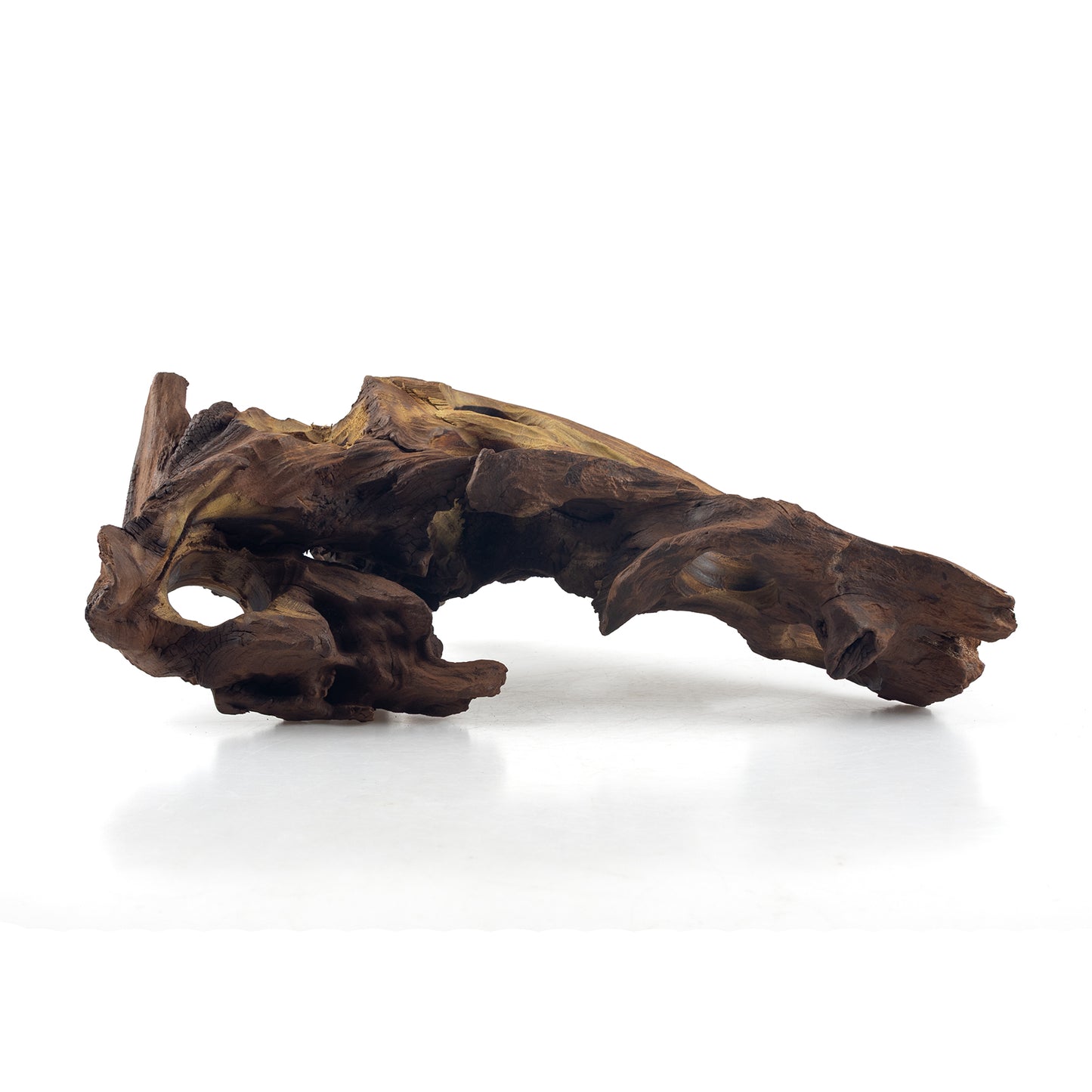 WYSIWYG Premium Natural Driftwood for Aquascaping – Exact Piece Shown A5