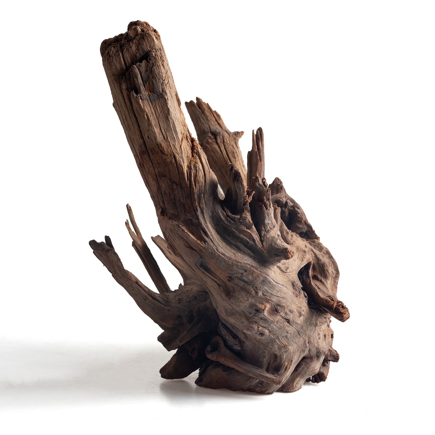 WYSIWYG Premium Natural Driftwood for Aquascaping – Exact Piece Shown A16