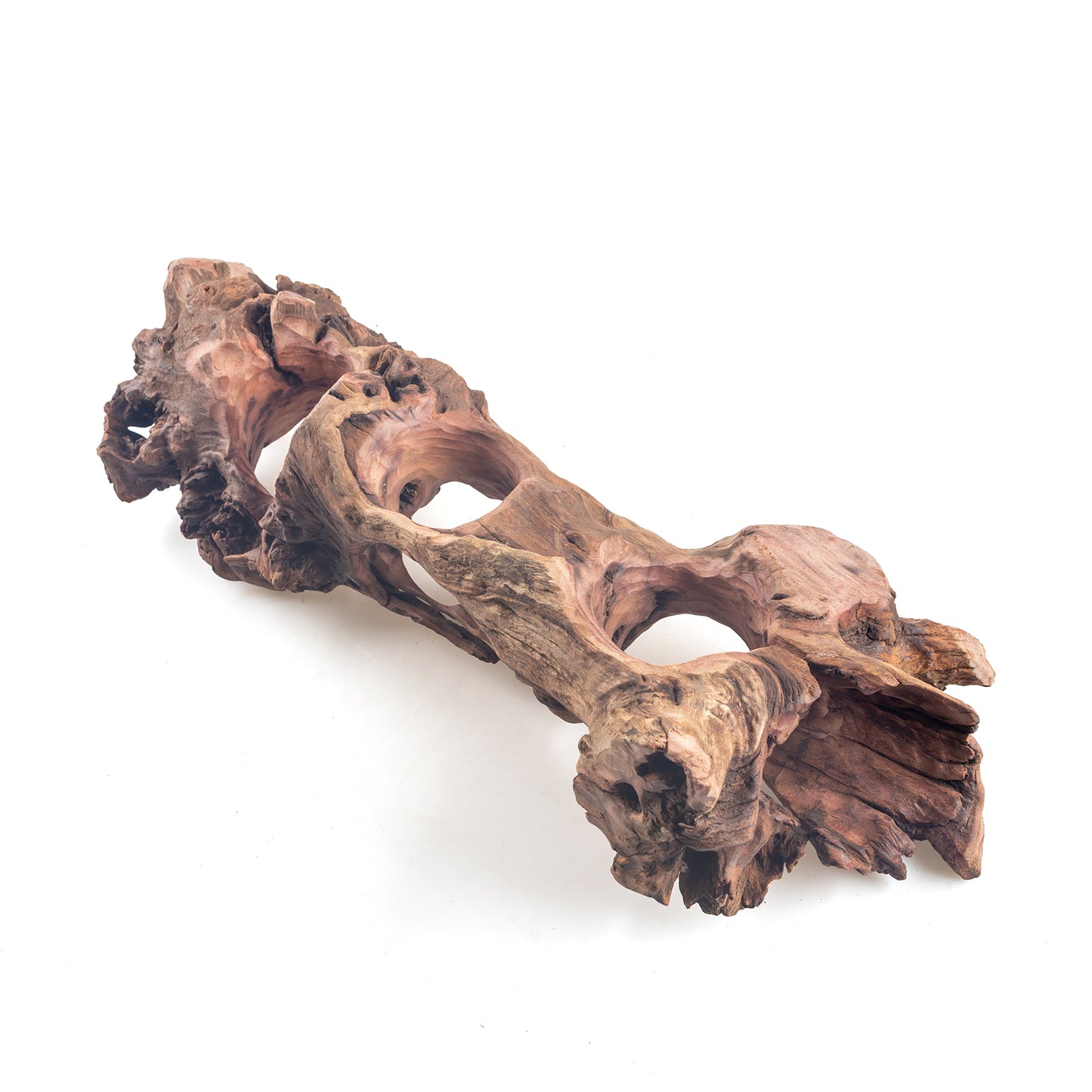 WYSIWYG Premium Natural Driftwood for Aquascaping – Exact Piece Shown A10