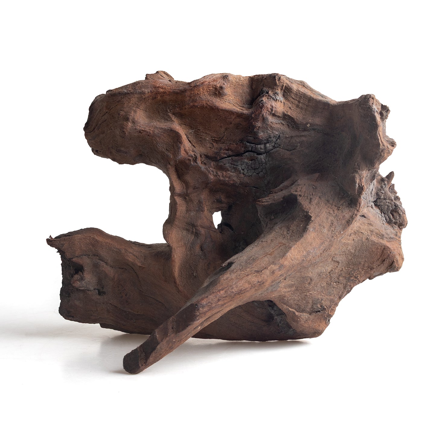 WYSIWYG Premium Natural Driftwood for Aquascaping – Exact Piece Shown A15