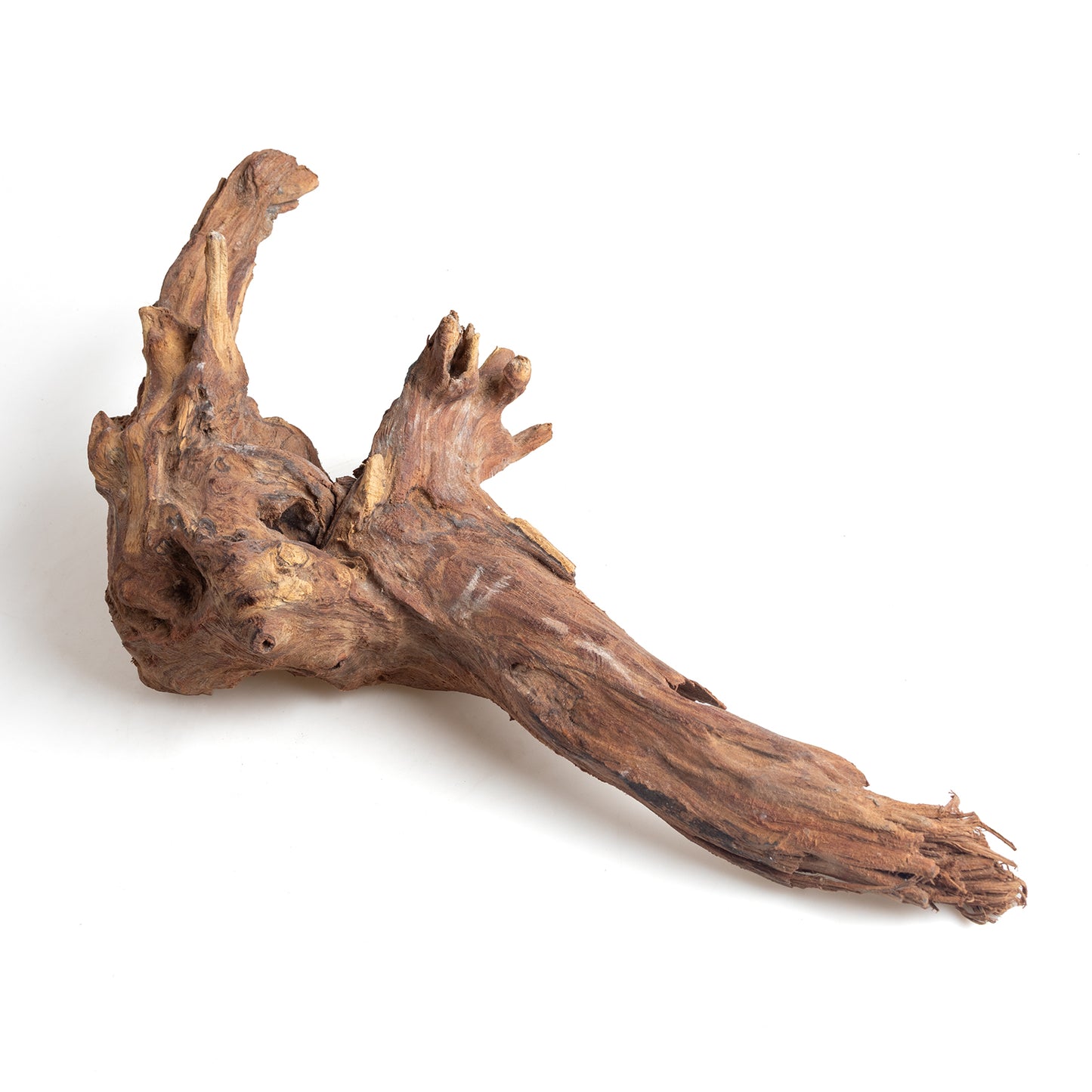 WYSIWYG Premium Natural Driftwood for Aquascaping – Exact Piece Shown A1