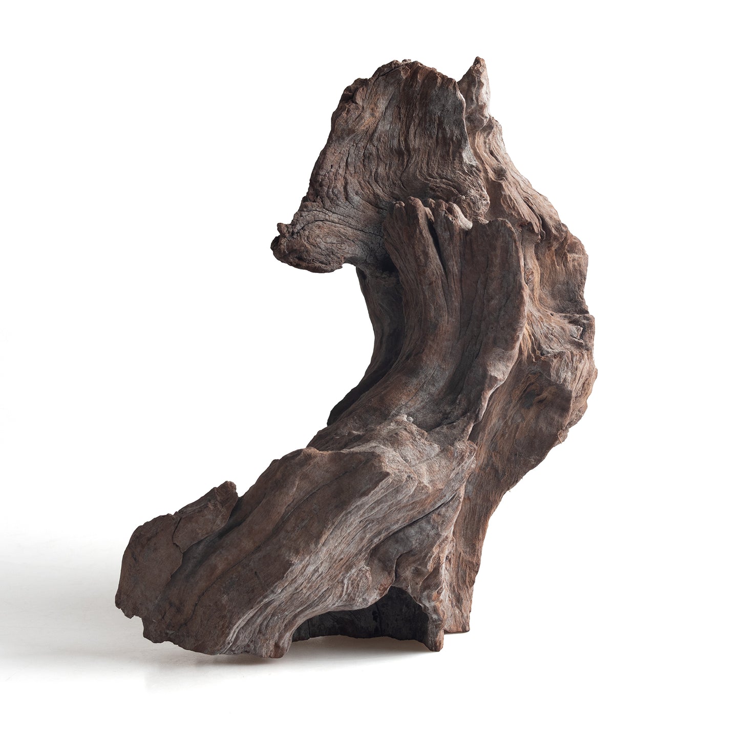 WYSIWYG Premium Natural Driftwood for Aquascaping – Exact Piece Shown A11