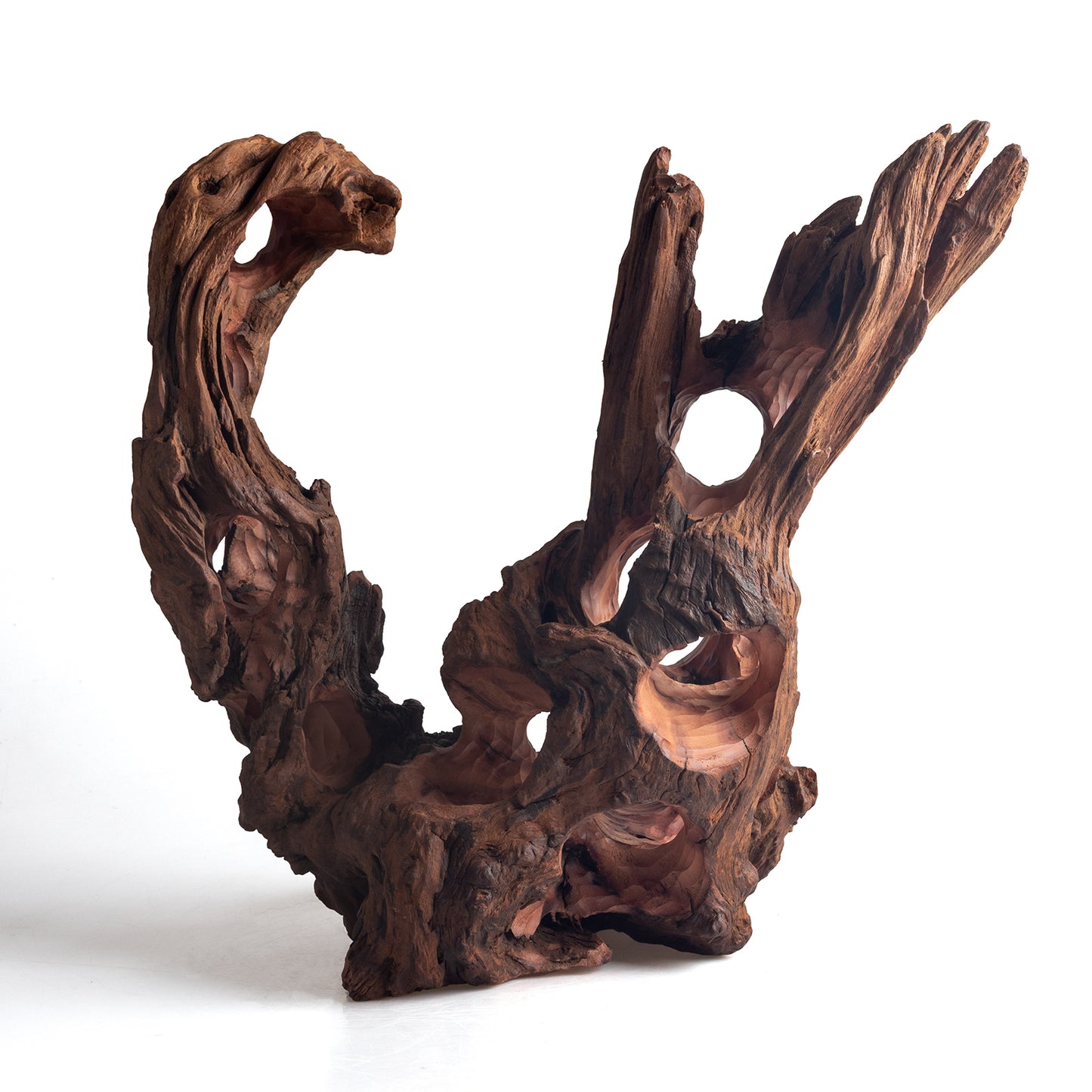 WYSIWYG Premium Natural Driftwood for Aquascaping – Exact Piece Shown A18