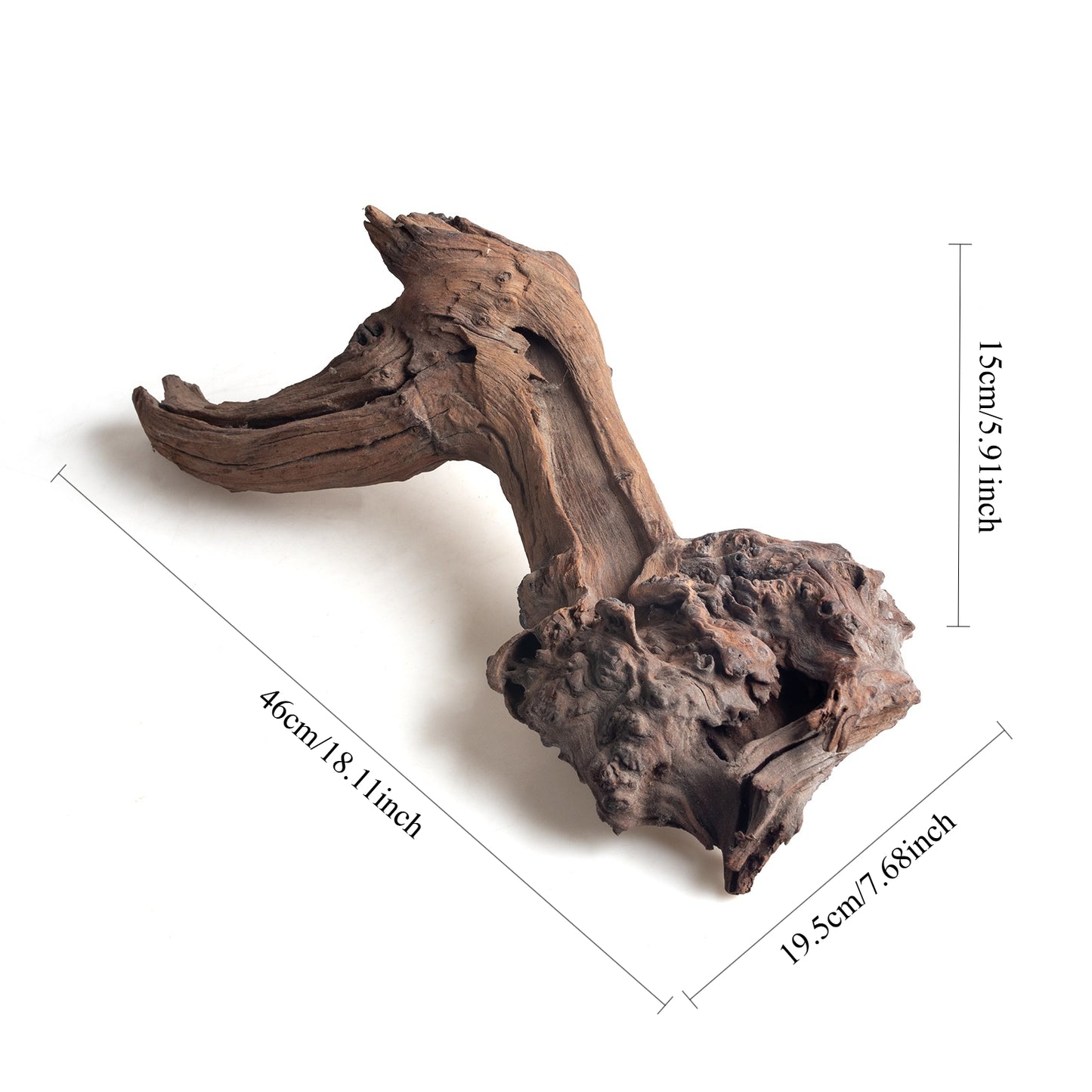 WYSIWYG Premium Natural Driftwood for Aquascaping – Exact Piece Shown A12