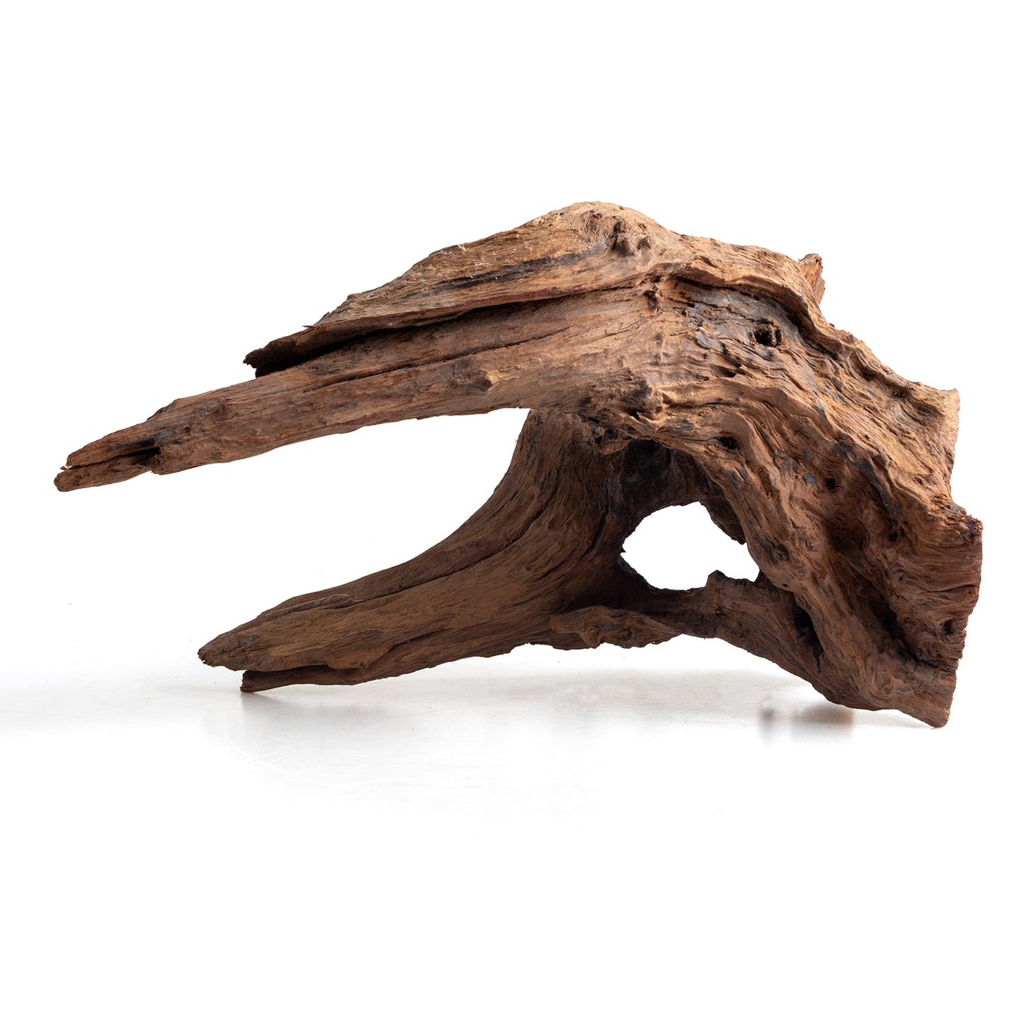 WYSIWYG Premium Natural Driftwood for Aquascaping – Exact Piece Shown A4