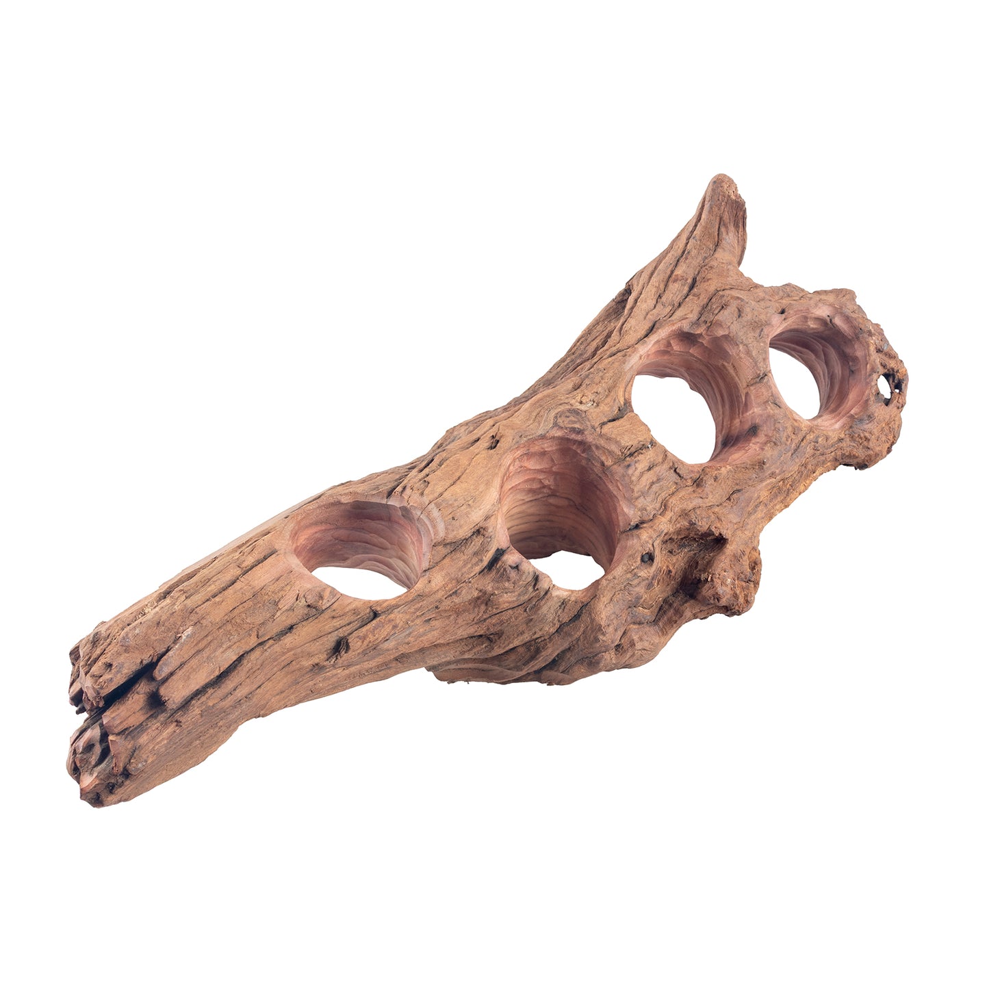 WYSIWYG Premium Natural Driftwood for Aquascaping – Exact Piece Shown A8