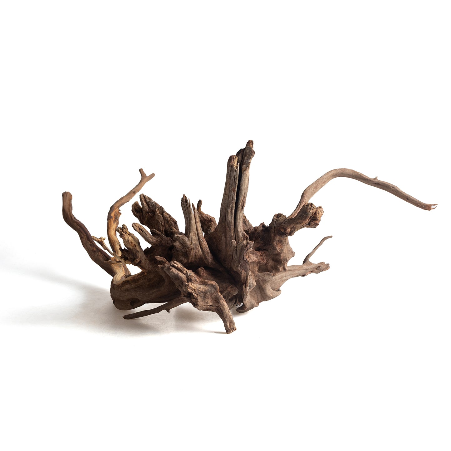 Natural Black Slim Wood Driftwood for Aquariums & Terrariums – Random Shape, 3 Sizes