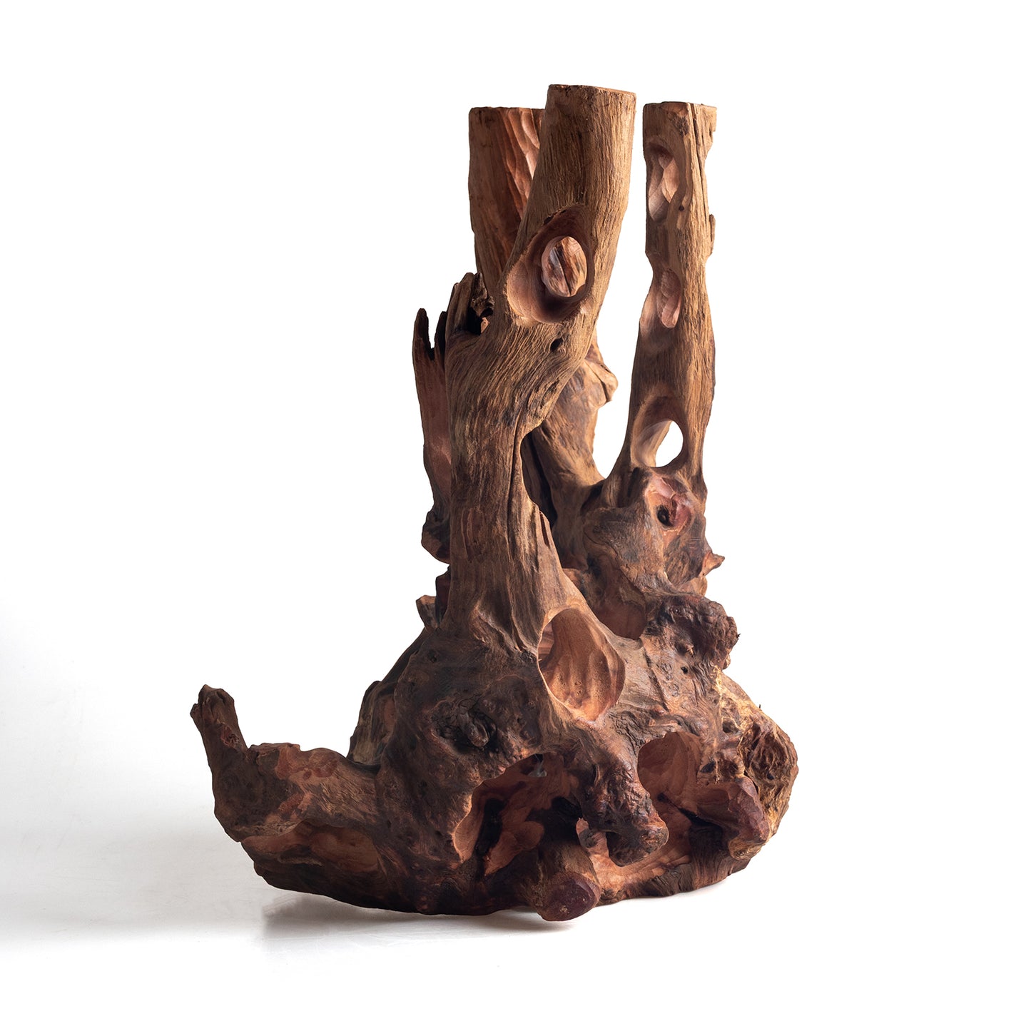 WYSIWYG Premium Natural Driftwood for Aquascaping – Exact Piece Shown A21