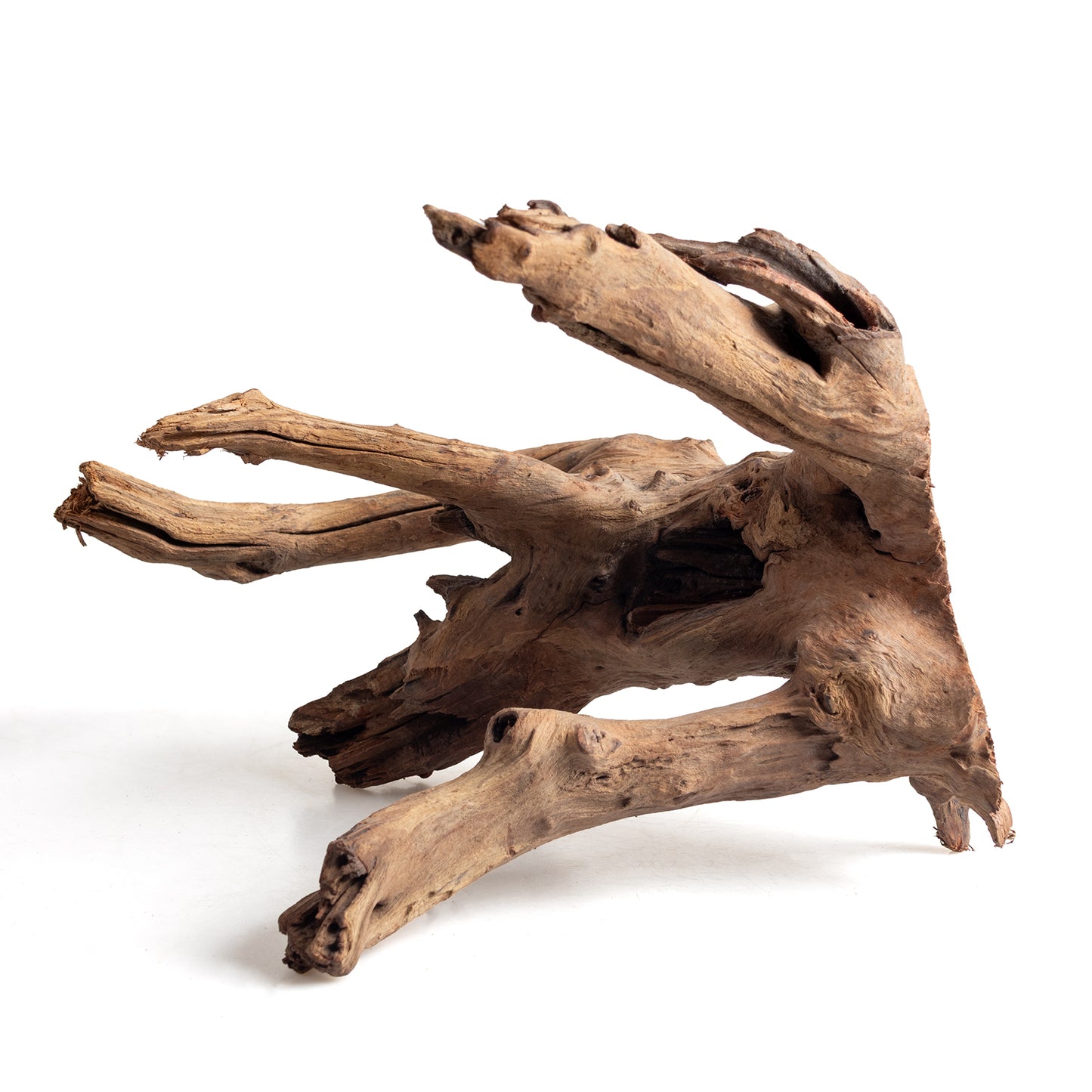 WYSIWYG Premium Natural Driftwood for Aquascaping – Exact Piece Shown A3