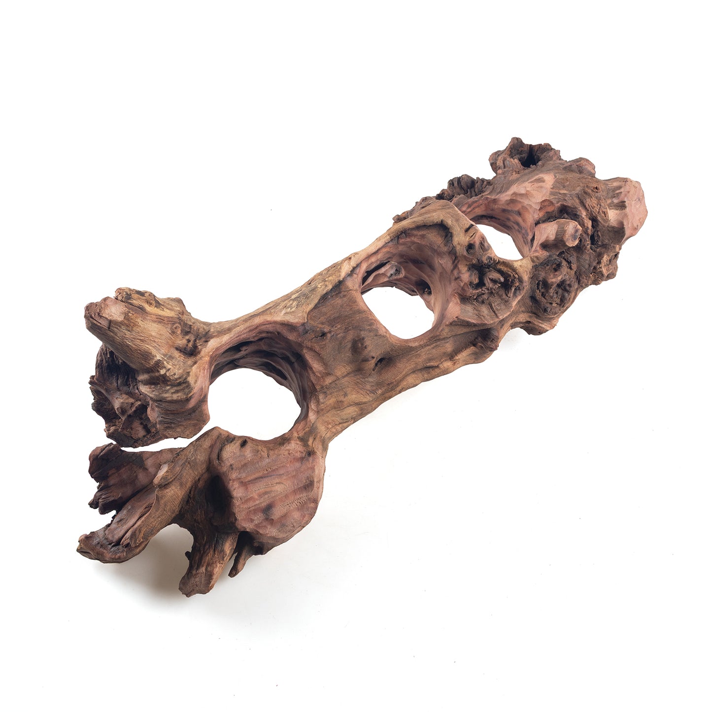 WYSIWYG Premium Natural Driftwood for Aquascaping – Exact Piece Shown A10