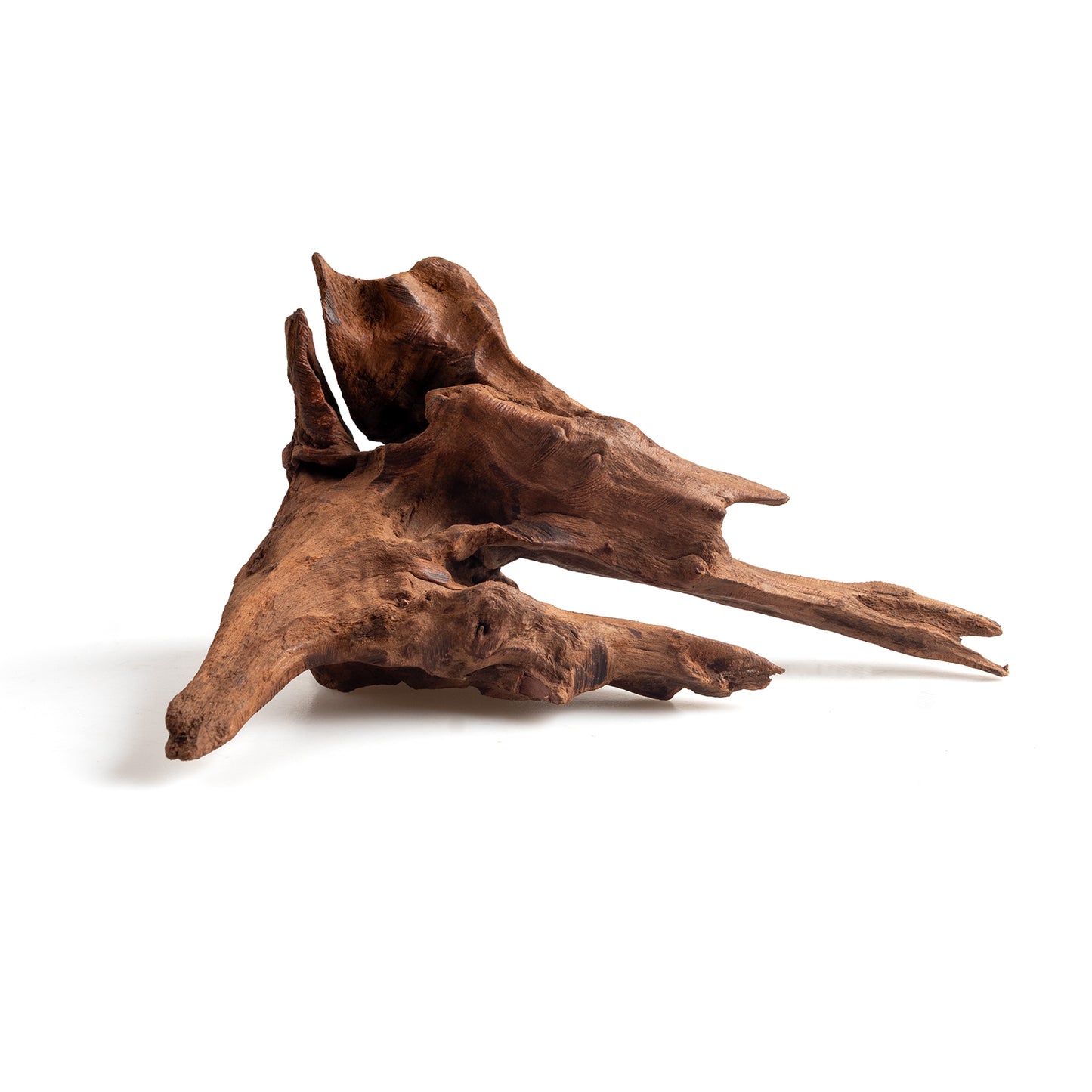 Small Natural Driftwood 5-Pack, 4–6 Inch Aquarium Wood for Aquascaping, Fish Tanks & Terrariums