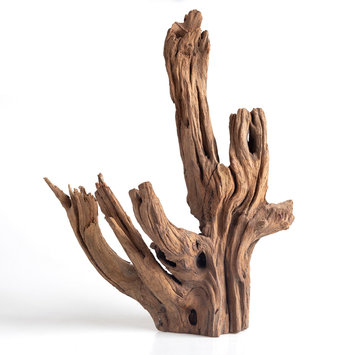 WYSIWYG Premium Natural Driftwood for Aquascaping – Exact Piece Shown A2