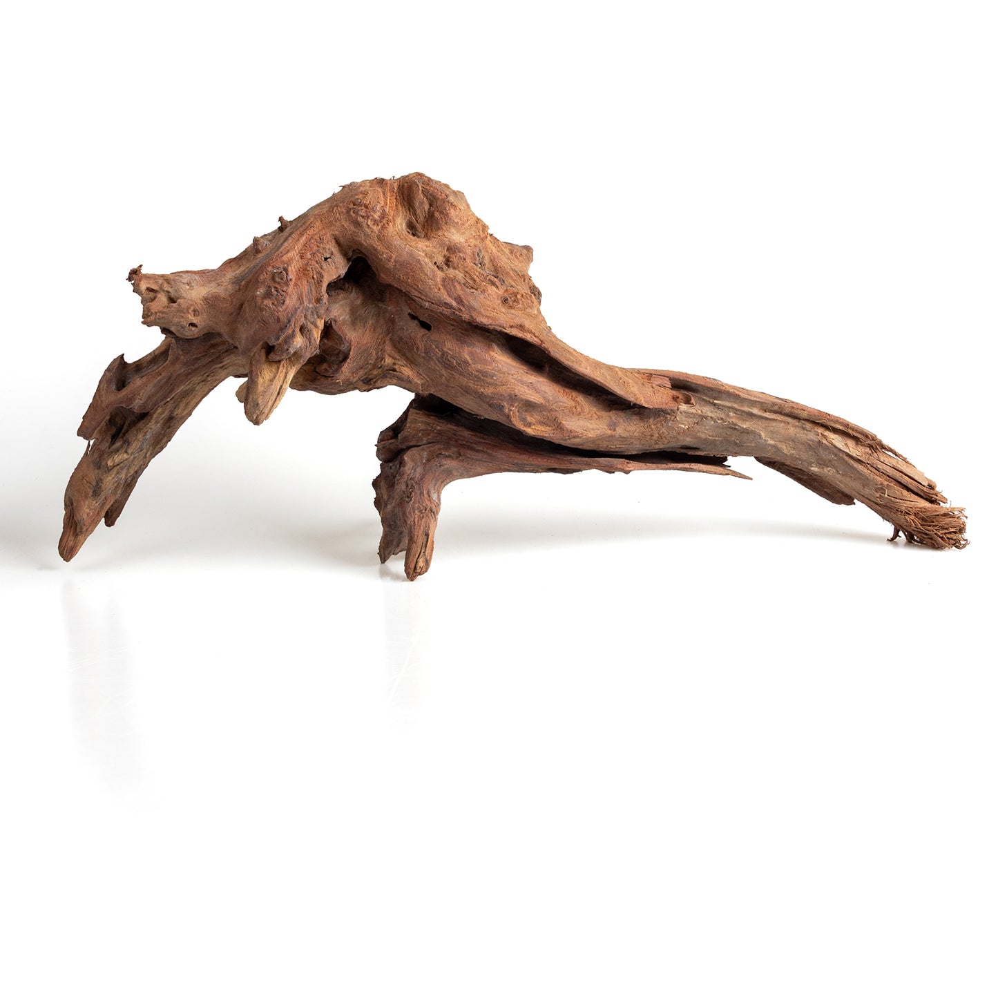 WYSIWYG Premium Natural Driftwood for Aquascaping – Exact Piece Shown A1