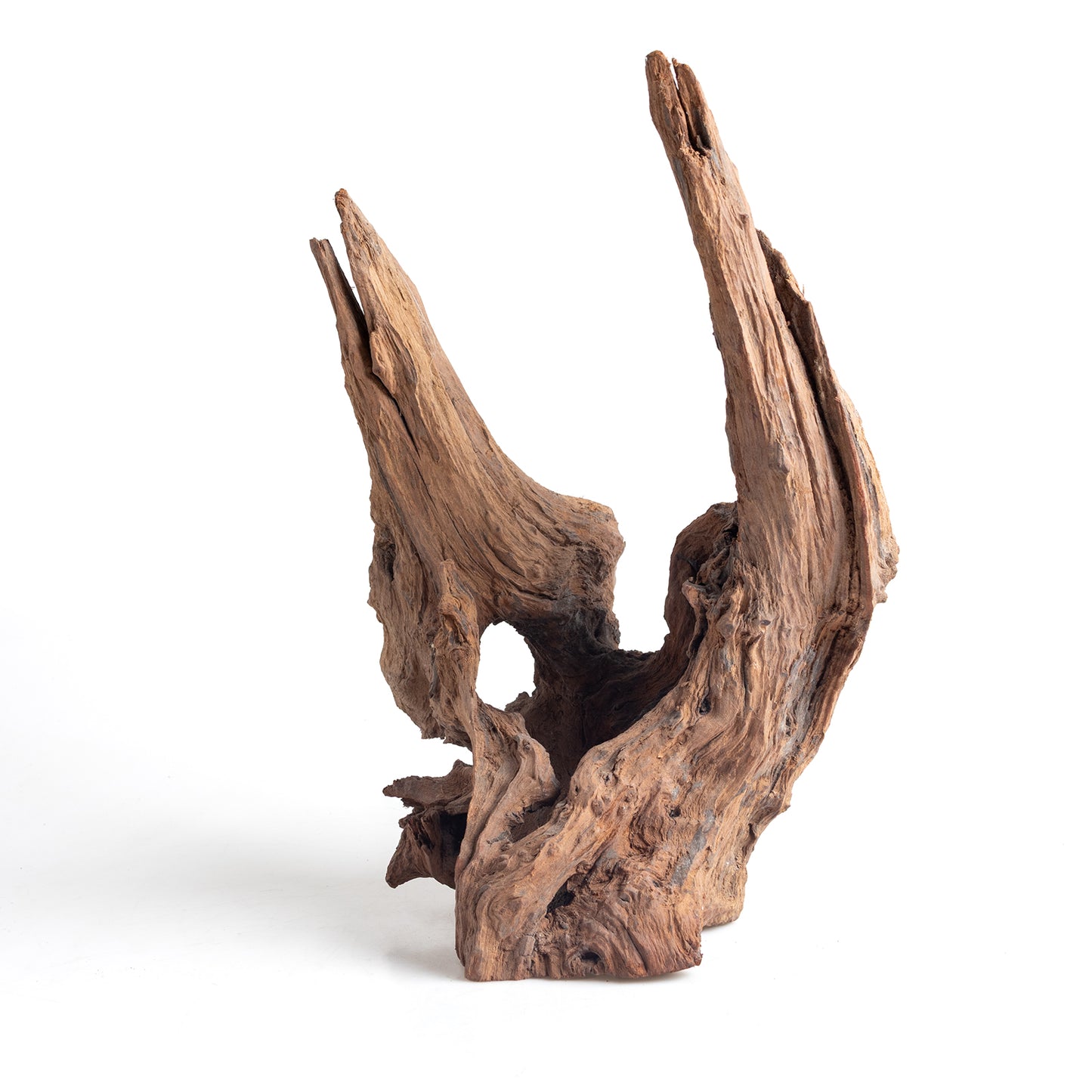 WYSIWYG Premium Natural Driftwood for Aquascaping – Exact Piece Shown A4