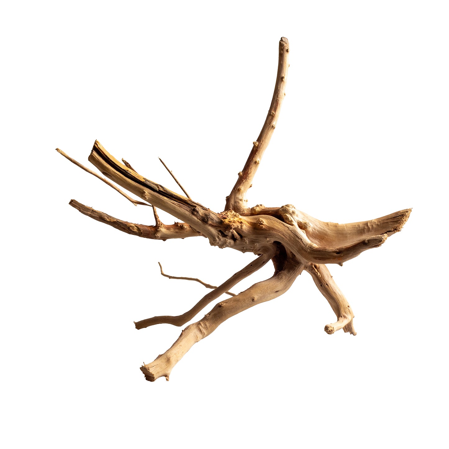 Natural Wood Root Driftwood for Aquariums & Terrariums – Random Unique Shape, 3 Sizes