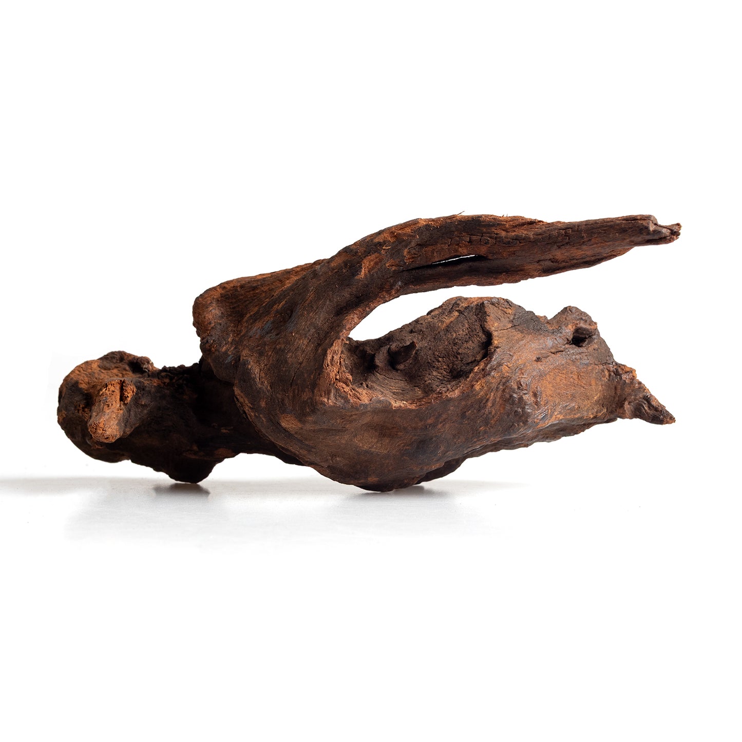 Small Natural Driftwood 5-Pack, 4–6 Inch Aquarium Wood for Aquascaping, Fish Tanks & Terrariums