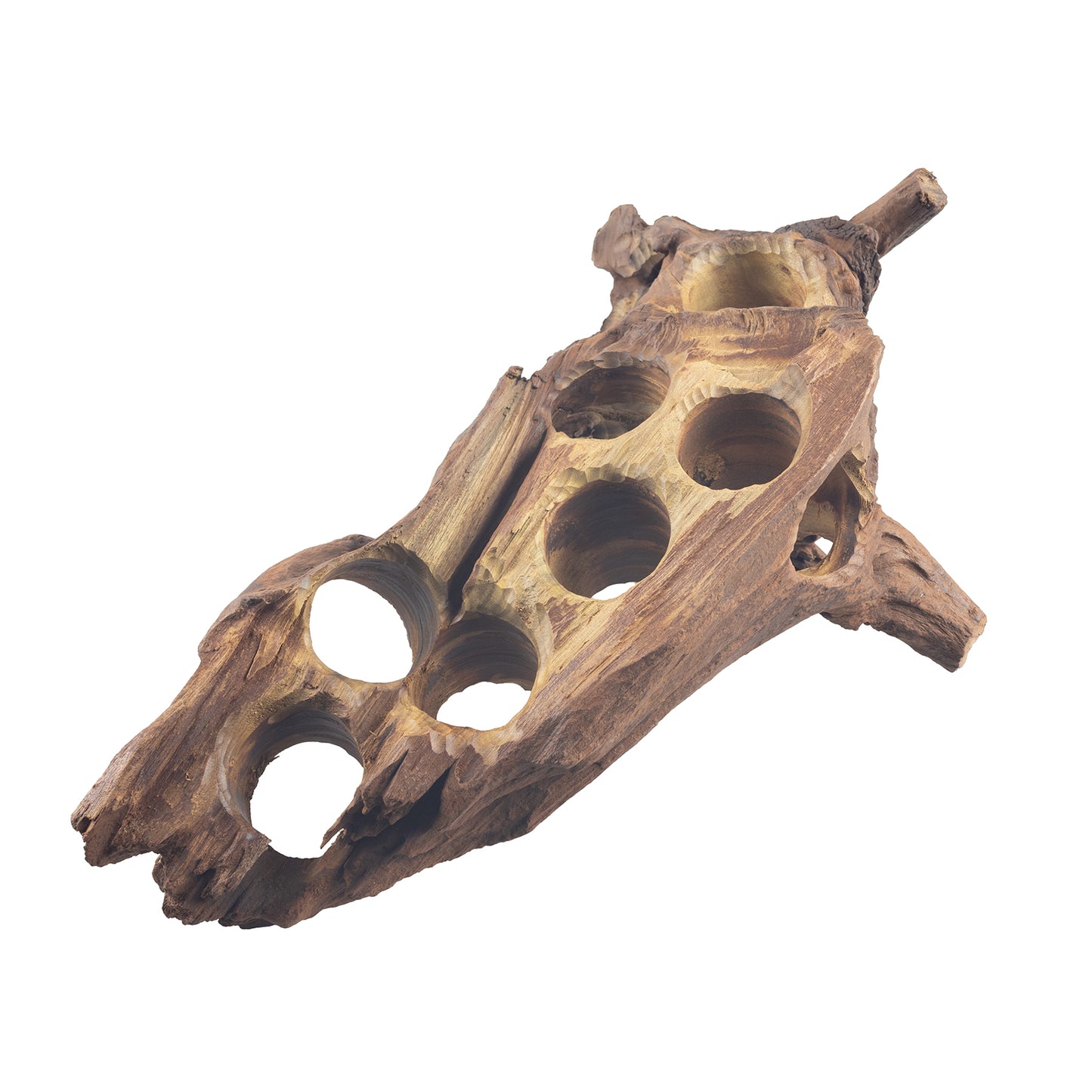 WYSIWYG Premium Natural Driftwood for Aquascaping – Exact Piece Shown A5