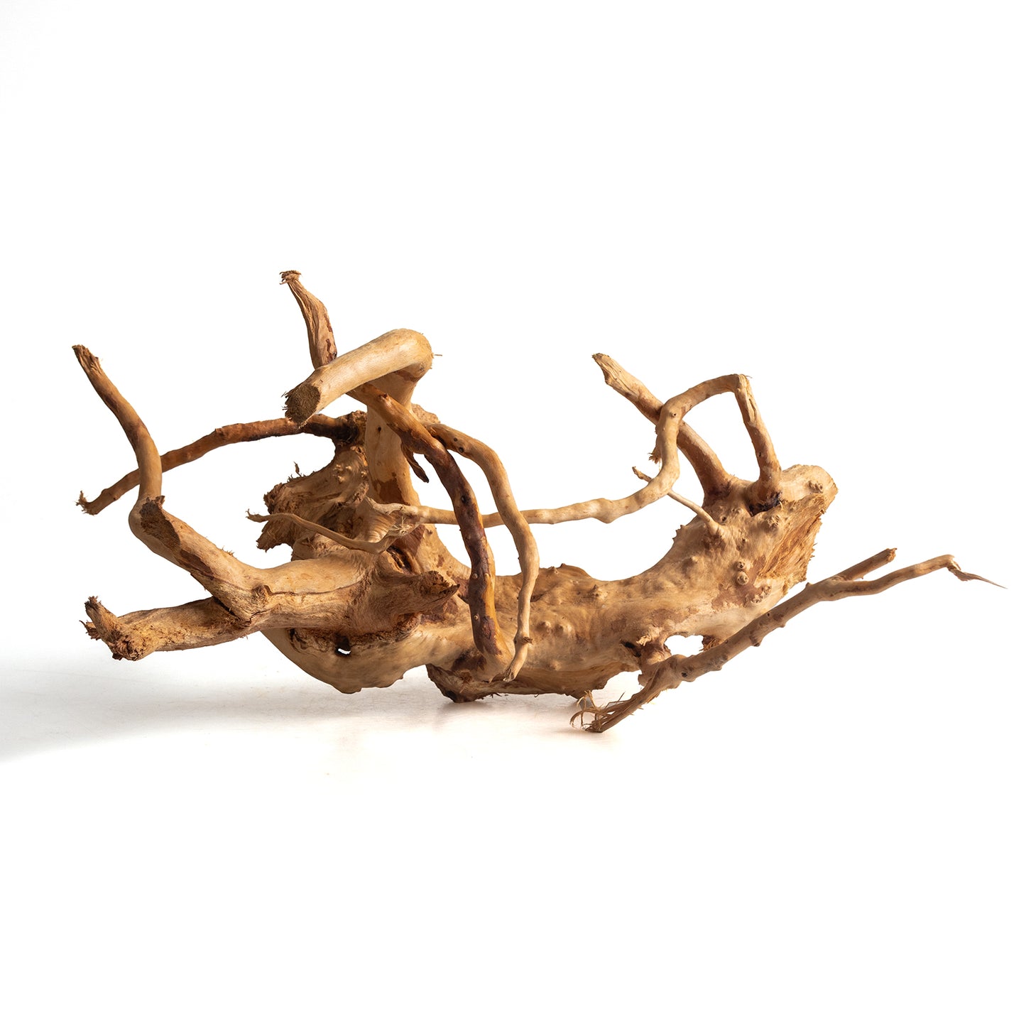 Natural Spider Wood Driftwood for Aquariums & Terrariums – Random Shape, 3 Sizes