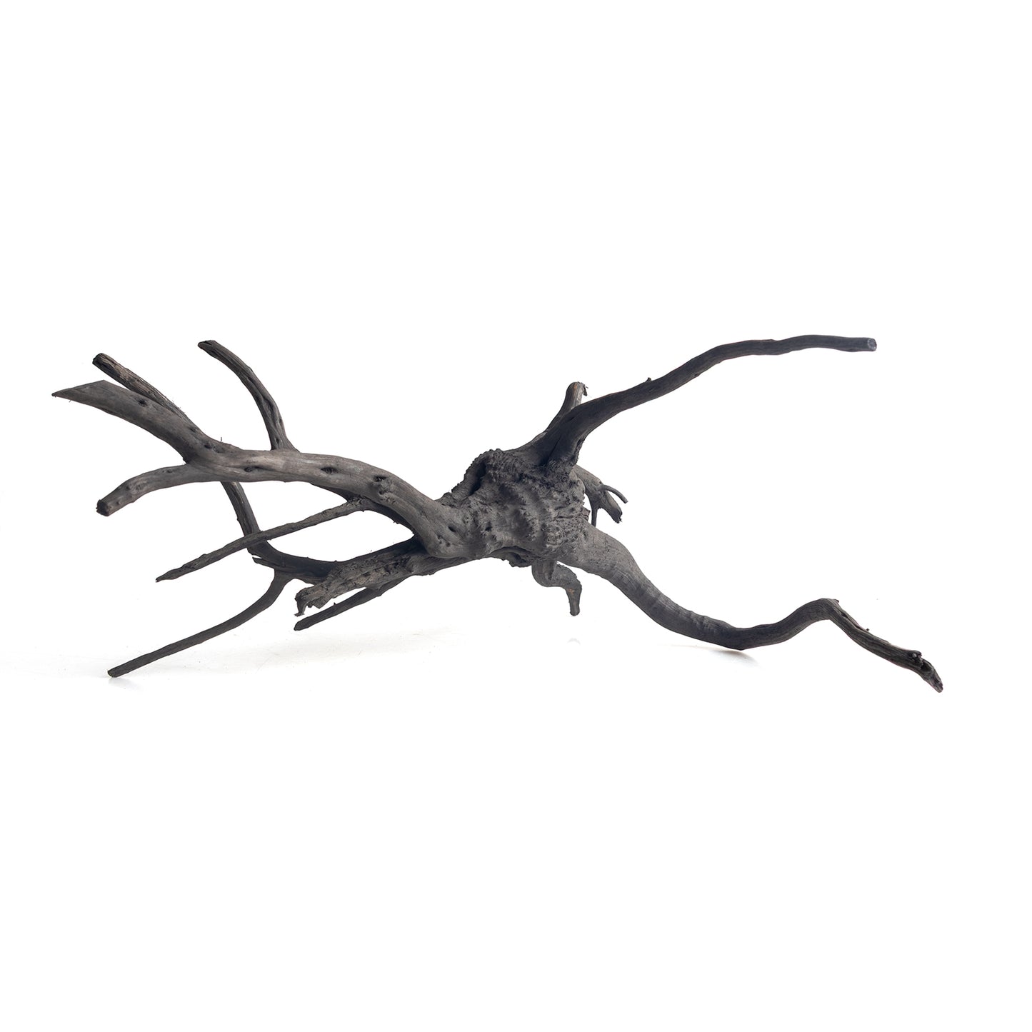 Natural Black Spider Wood Driftwood for Aquariums & Terrariums – Random Shape, 3 Sizes