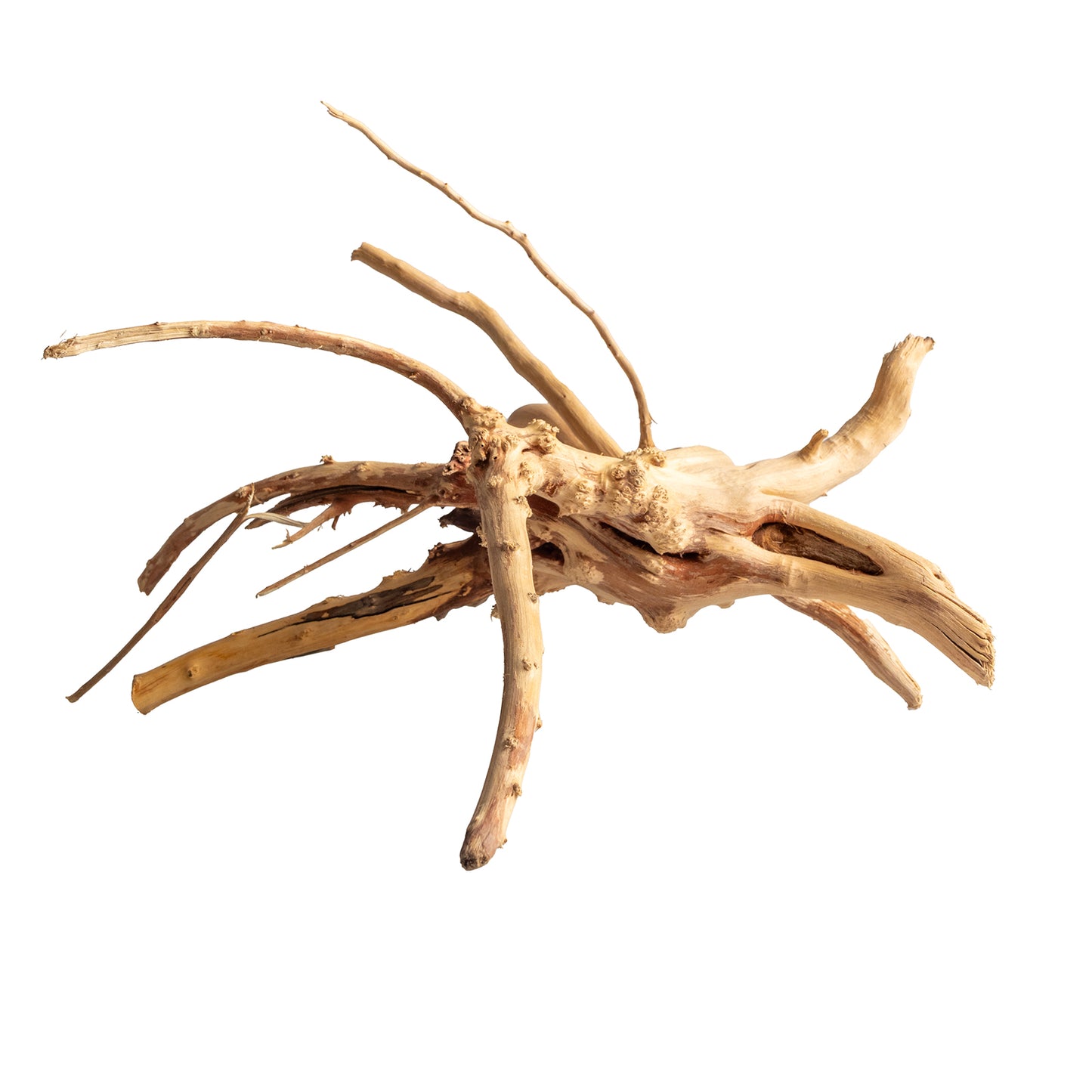 Natural Wood Root Driftwood for Aquariums & Terrariums – Random Unique Shape, 3 Sizes
