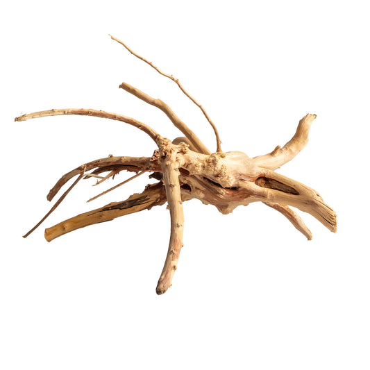 Natural Wood Root Driftwood for Aquariums & Terrariums – Random Unique Shape, 3 Sizes