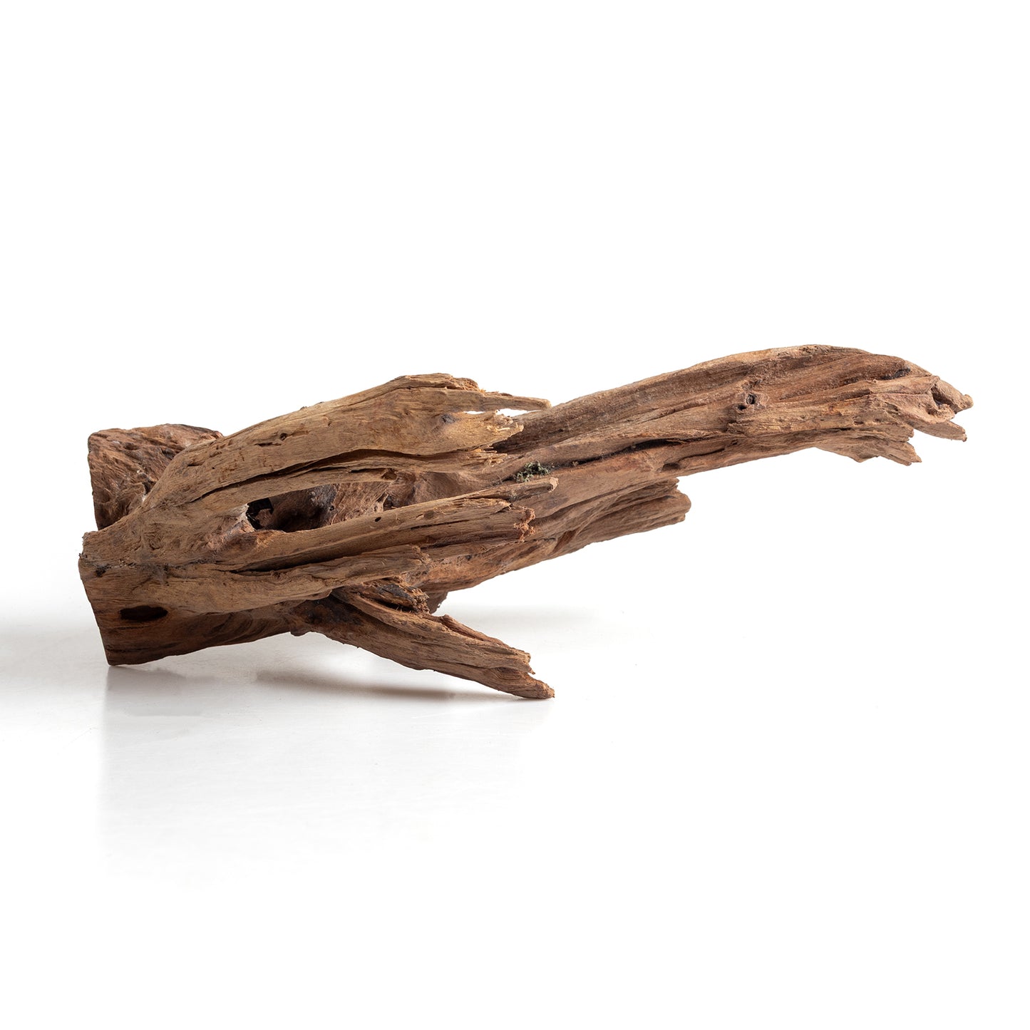 WYSIWYG Premium Natural Driftwood for Aquascaping – Exact Piece Shown A2