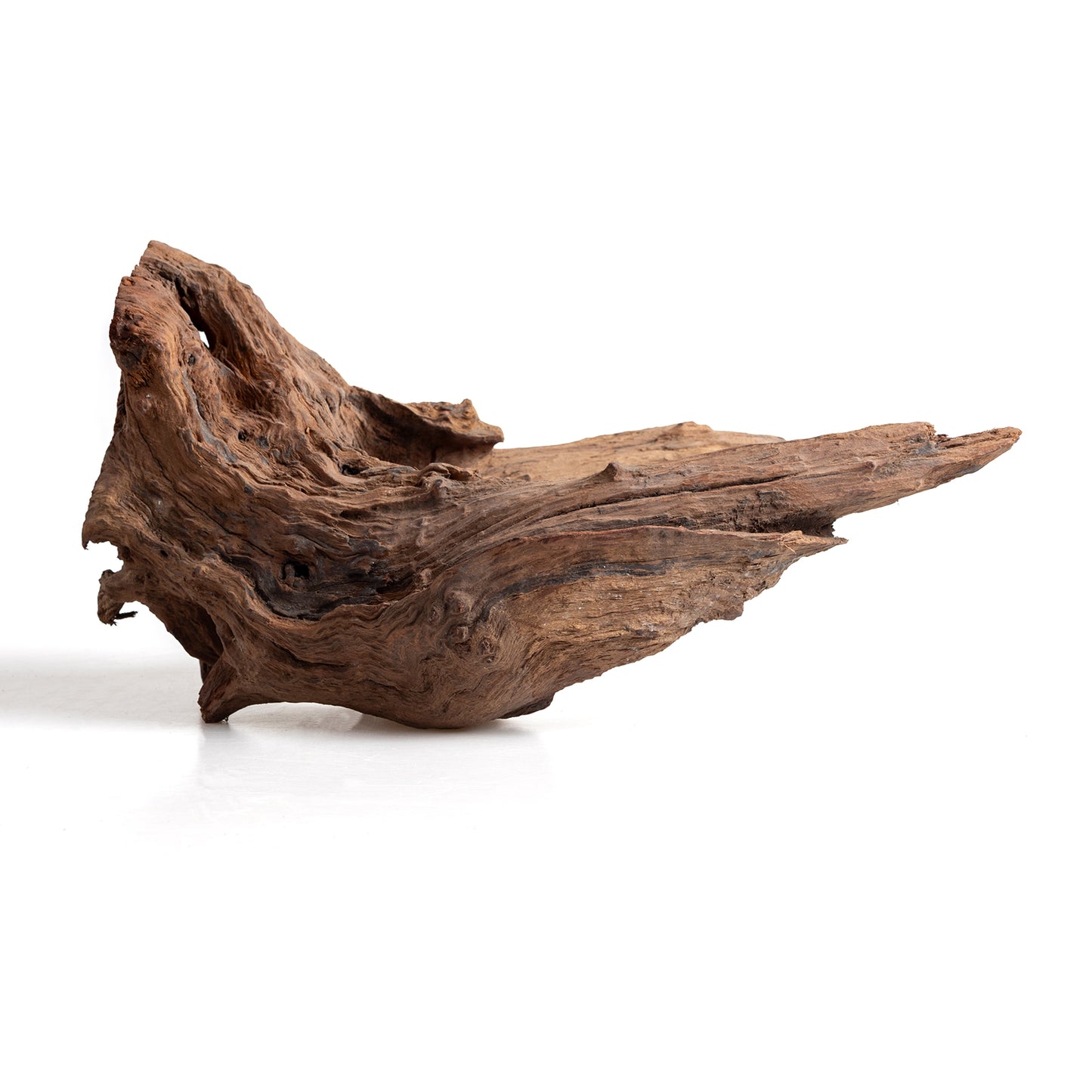 WYSIWYG Premium Natural Driftwood for Aquascaping – Exact Piece Shown A4